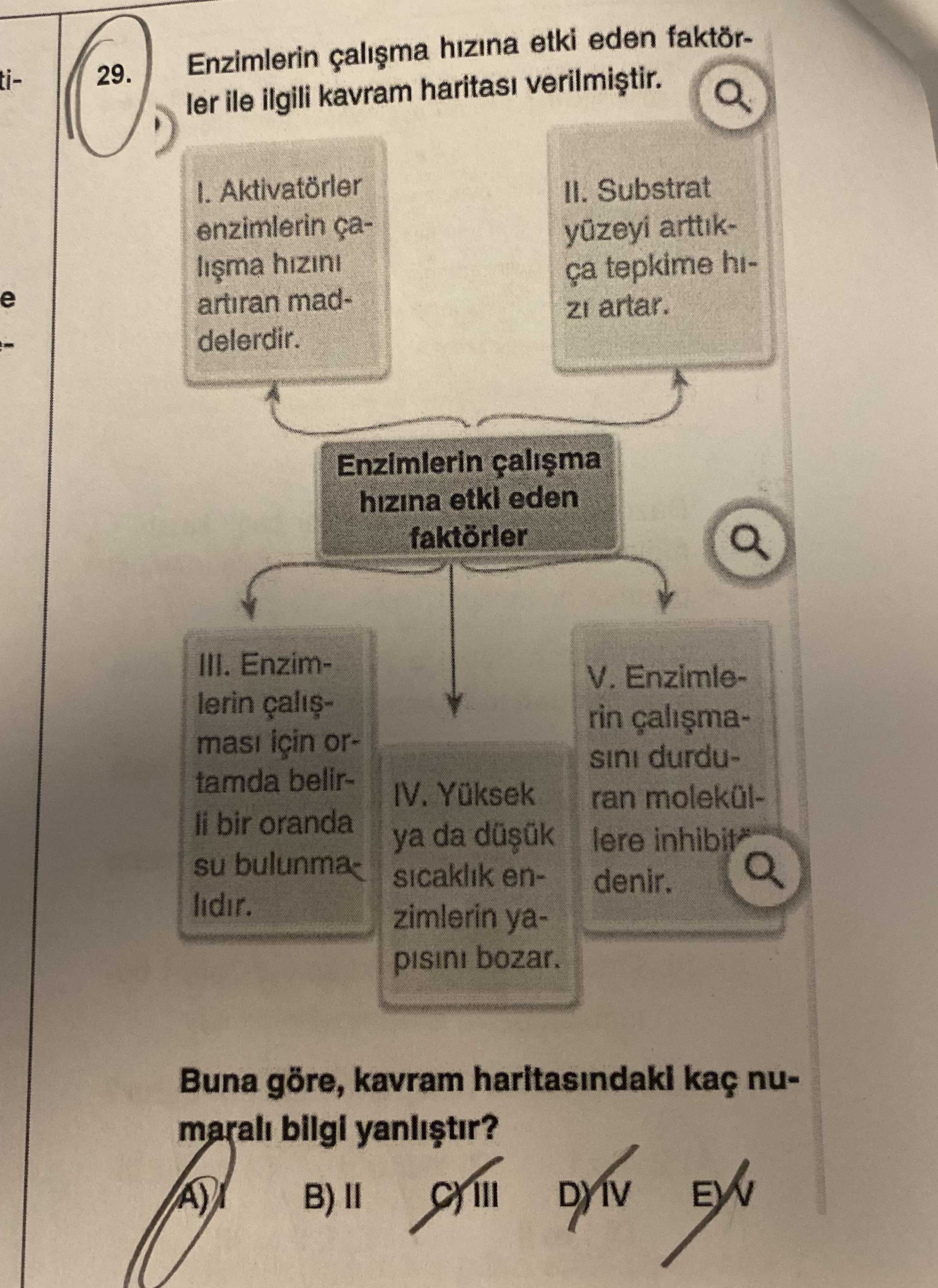 Enzimlerin hizina etki eden 29. ler ile ilgili kavram haritasi Aktivatörler II. Substrat enzimlerin çaarttik- hizini ça tepkime hie artiran madZI artar. delerdir. Enzimlerin hizina etkl eden faktörler III. EnzimV. Enzimlelerin rin masi için ordurdu- tamda belirIV. ran molekülli bir oranda ya da lere inhibit su bulunmasicaklik endenir. lidir. zimlerin yabozar. Buna göre, kavram kaç numarali bilgi Enzimlerin hizina etki eden 29. Buna göre, kavram kaç numarali bilgi. ?? Model.Question.title