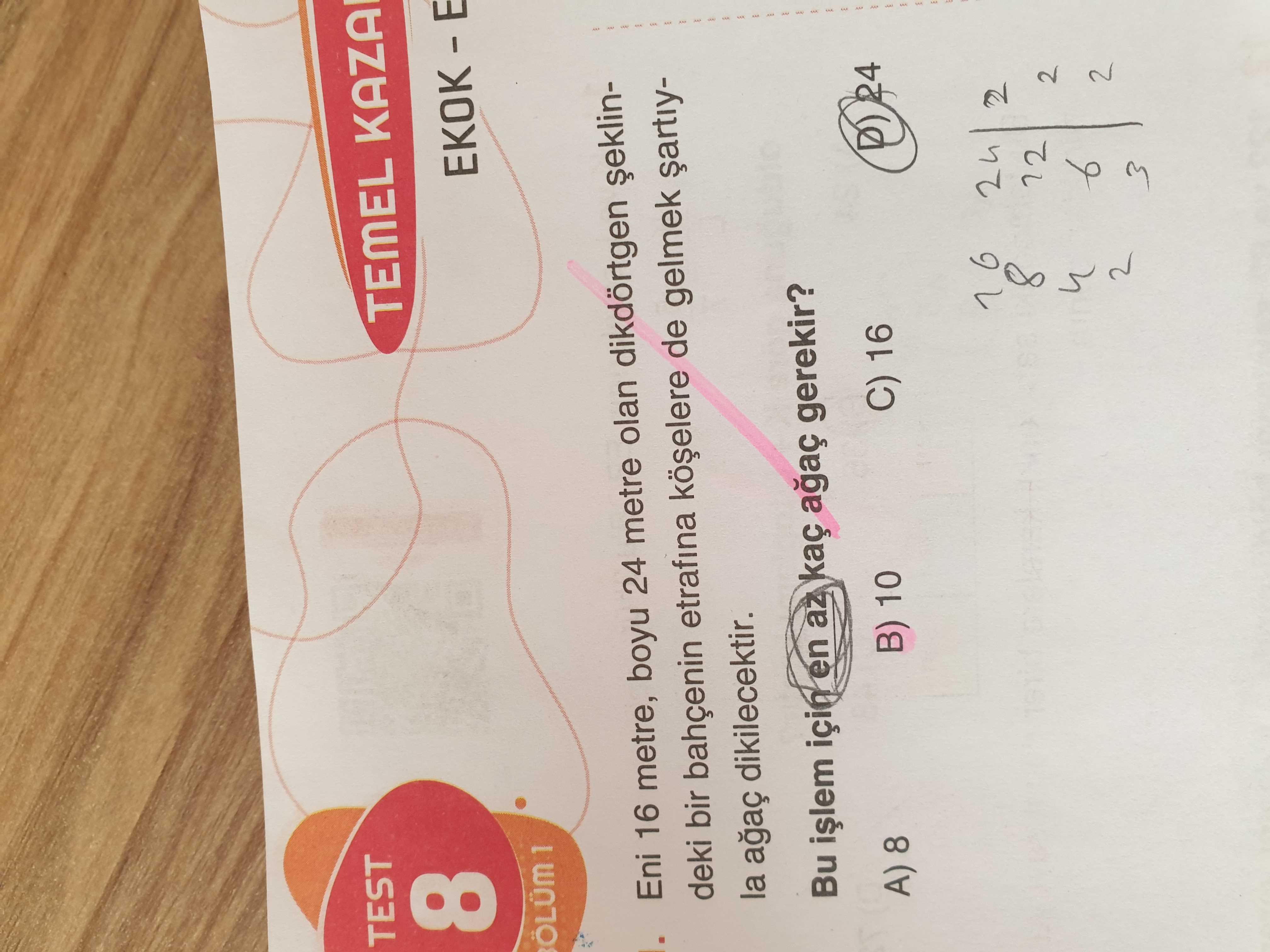 Matematik (8. Sınıf)