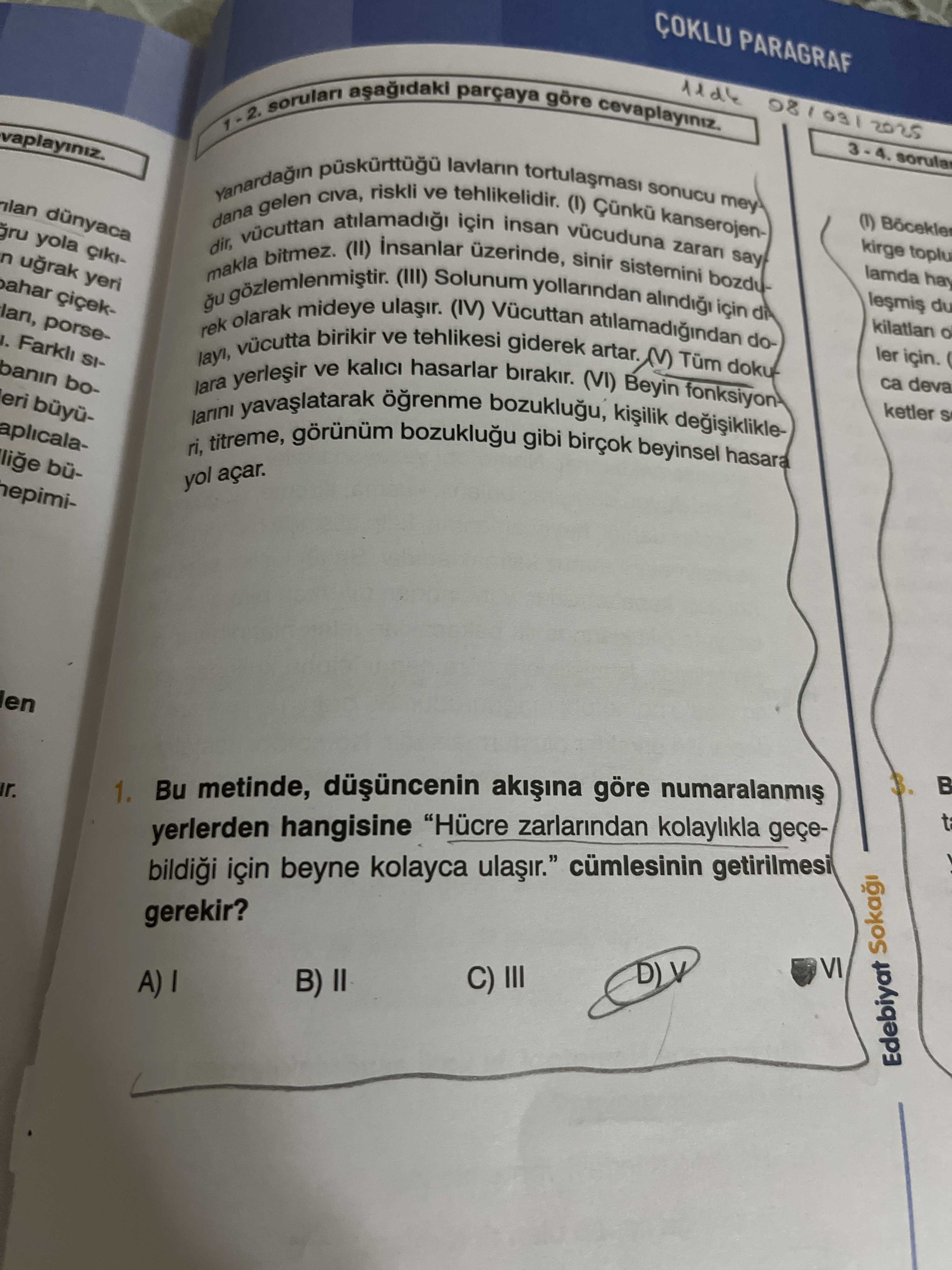 Türkçe (12. Sınıf)