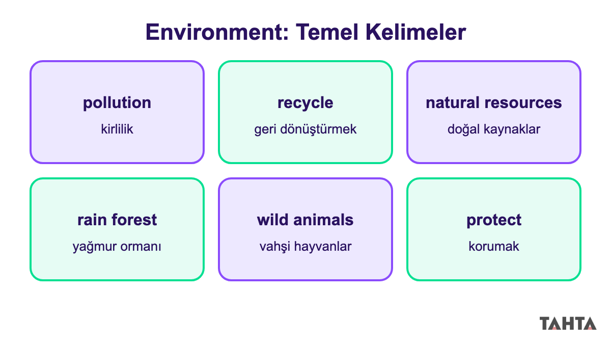 7. sınıf İngilizce environment ünitesinden altı temel kelime ve Türkçe anlamlarını gösteren kelime kartları