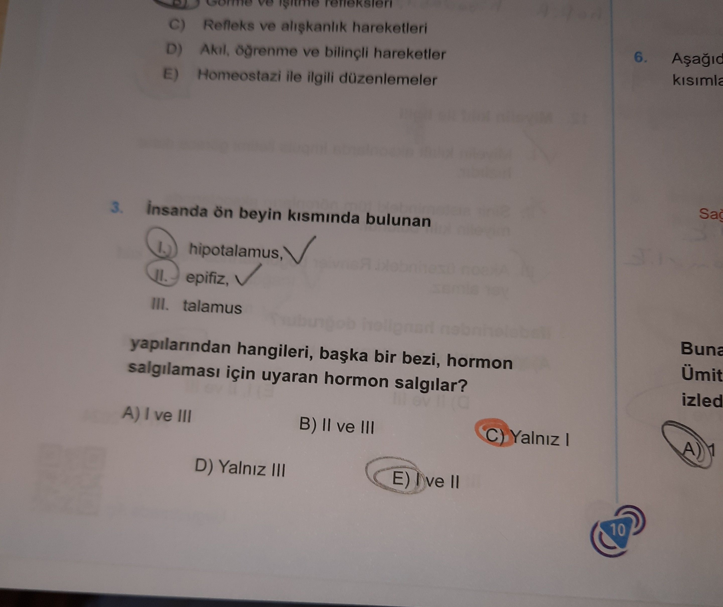 İnsanda ön beyin kısmında bulunan I. hipotalamus, II. epifiz, III. talamus yapılarından hangileri