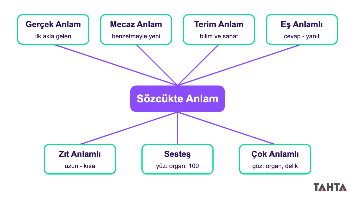 Sözcükte anlamın yedi başlığını gösteren kavram haritası: gerçek, mecaz, terim, eş, zıt, sesteş, çok anlamlı