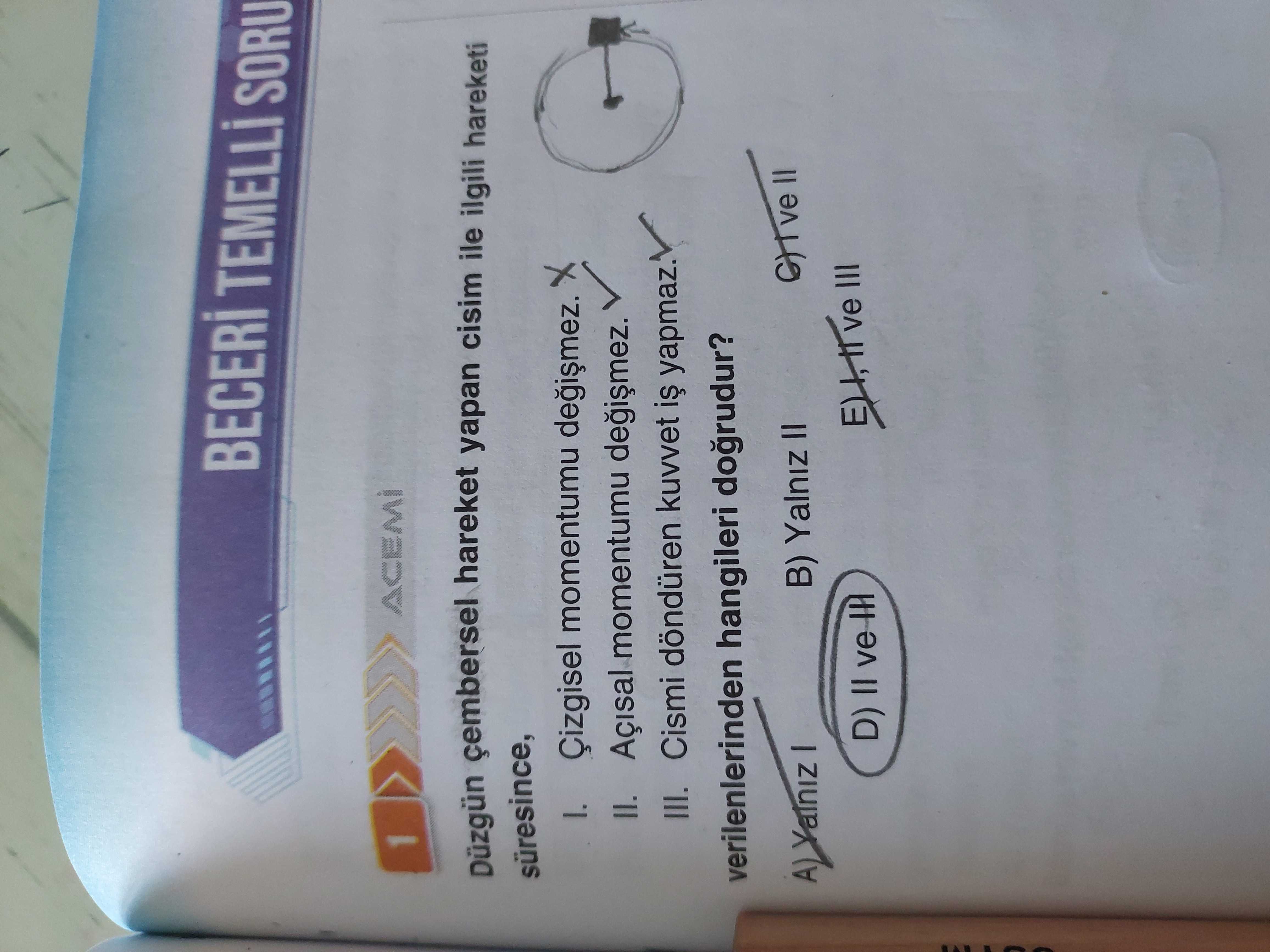Fizik (12. Sınıf)