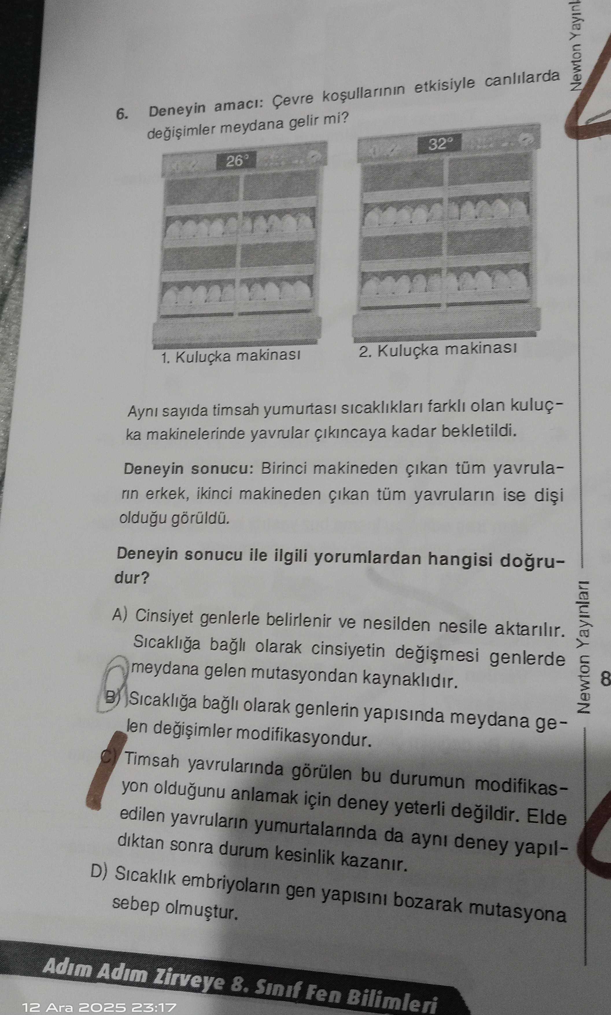 Deneyin amacı: Çevre koşullarının etkisiyle canlılarda değişimler meydana gelir mi? 1. Kuluçka