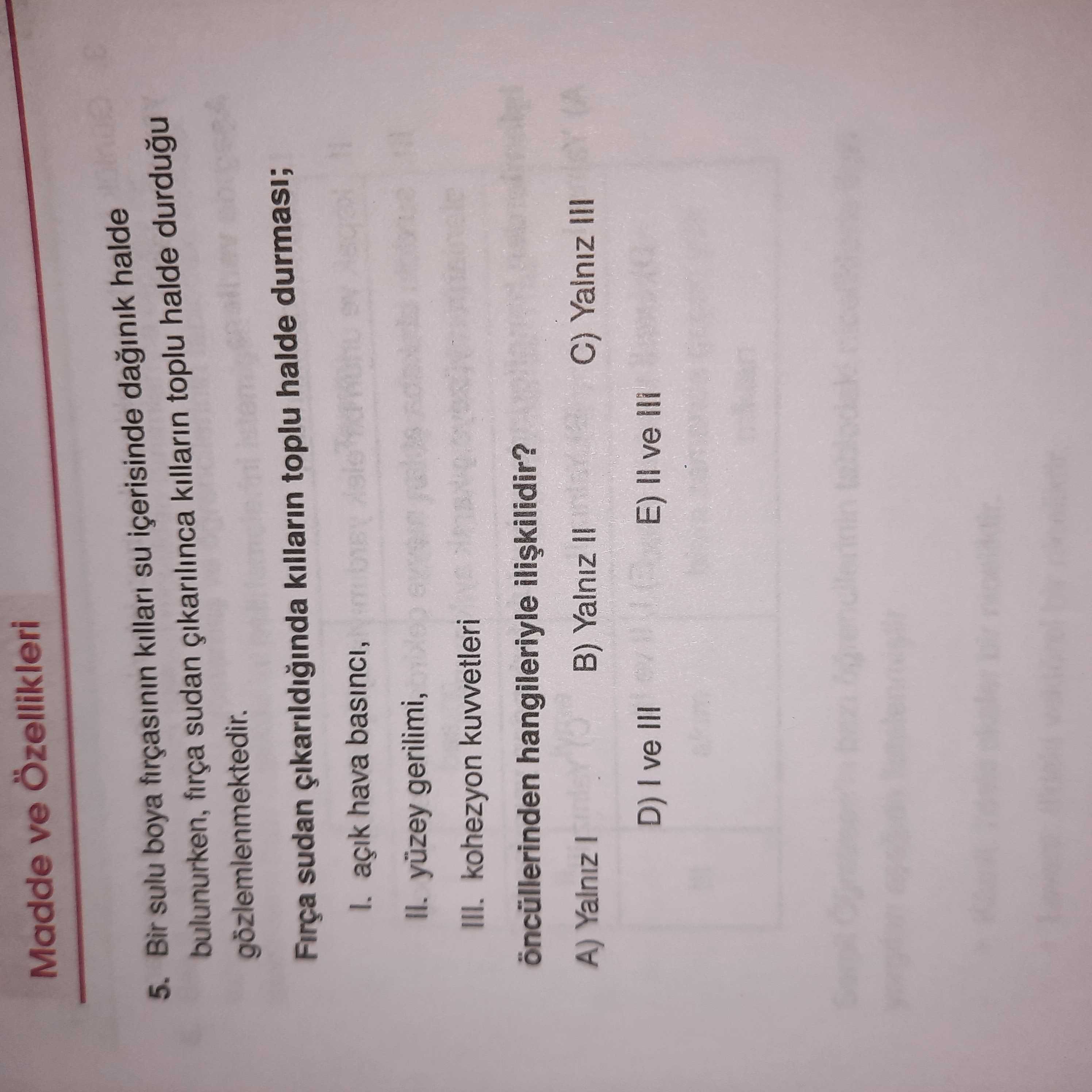 Bir sulu boya fırçasının kılları su içerisinde dağınık halde bulunurken, fırça sudan çıkarılınca