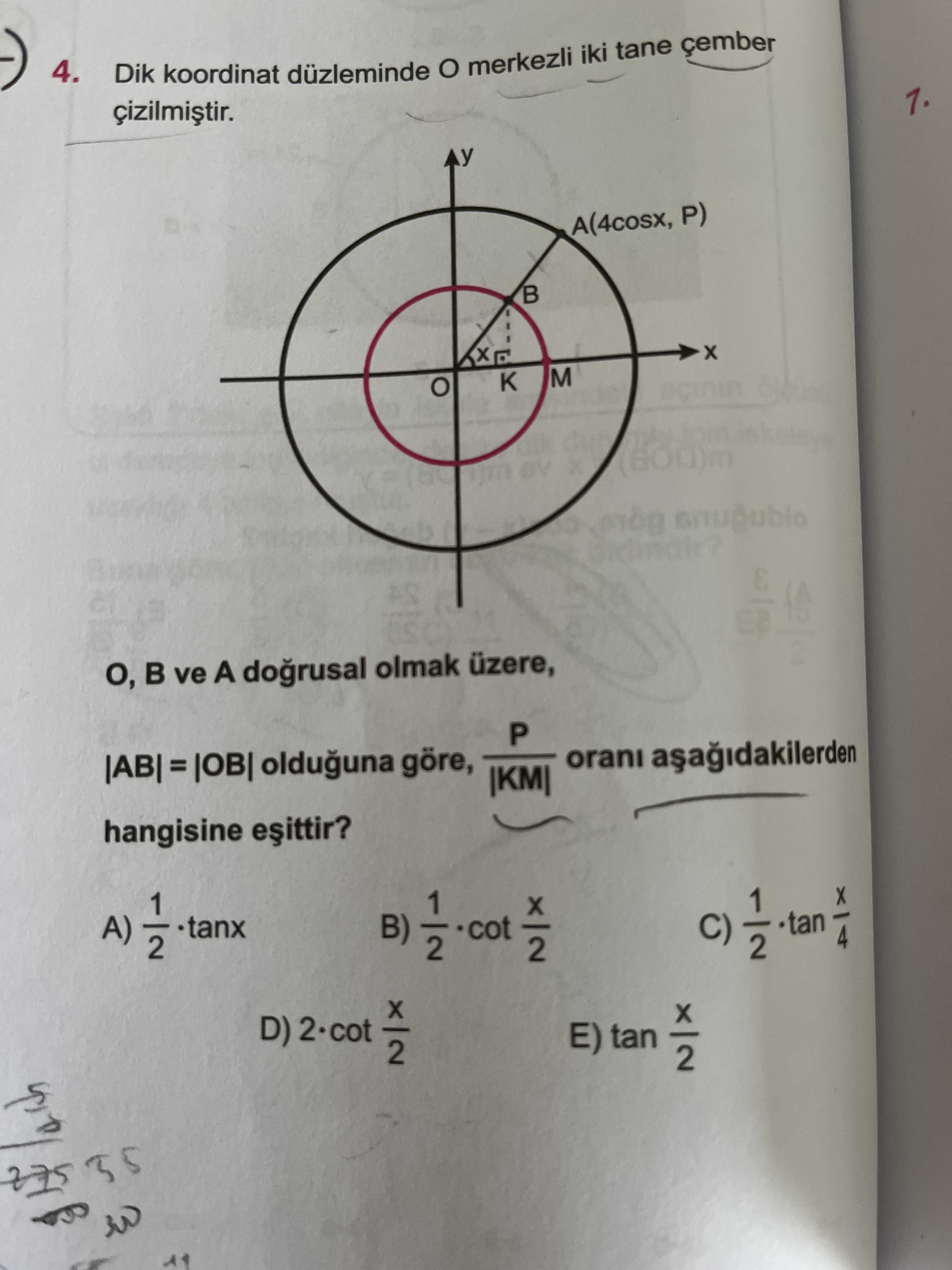 Matematik (Mezun)