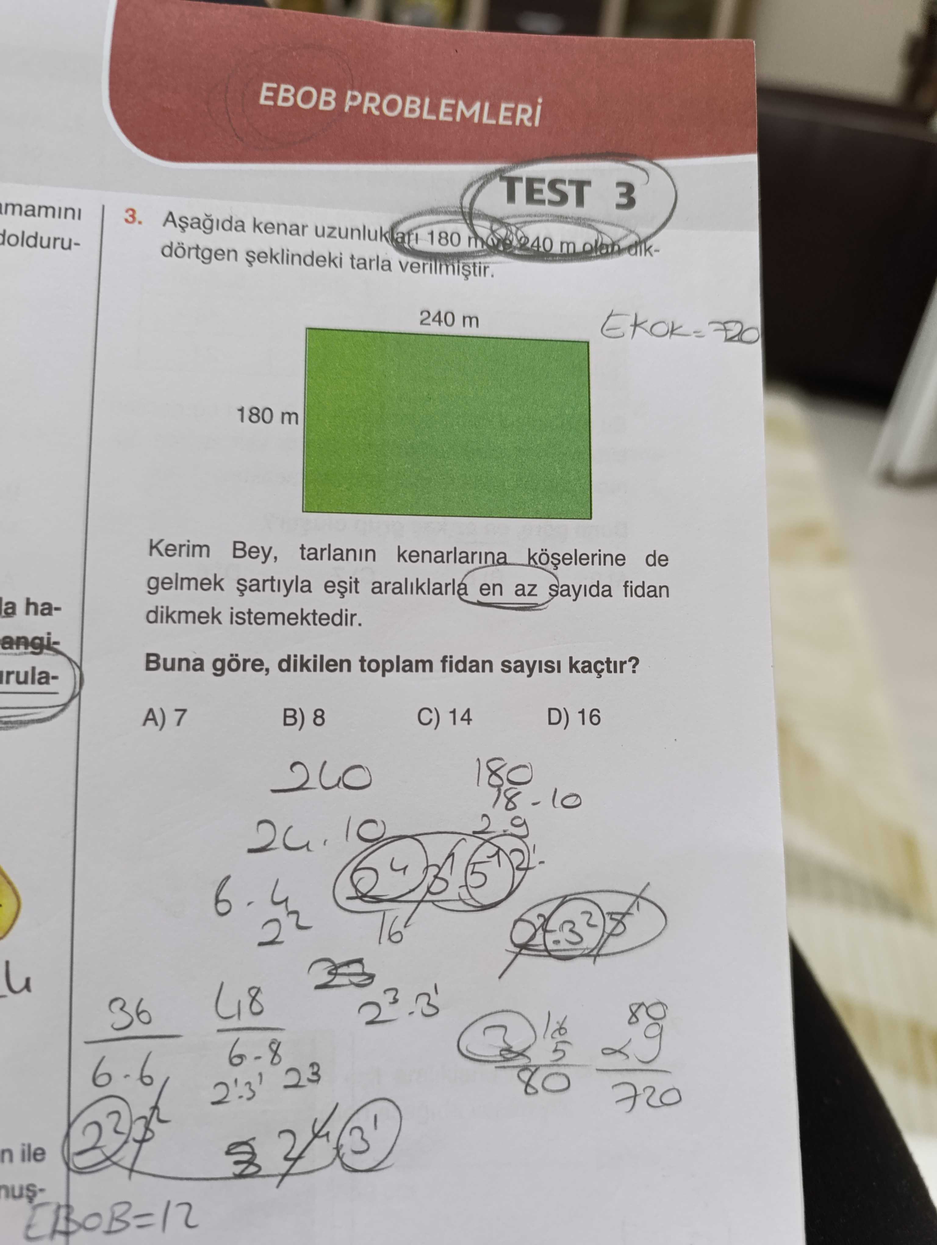 Matematik (8. Sınıf)