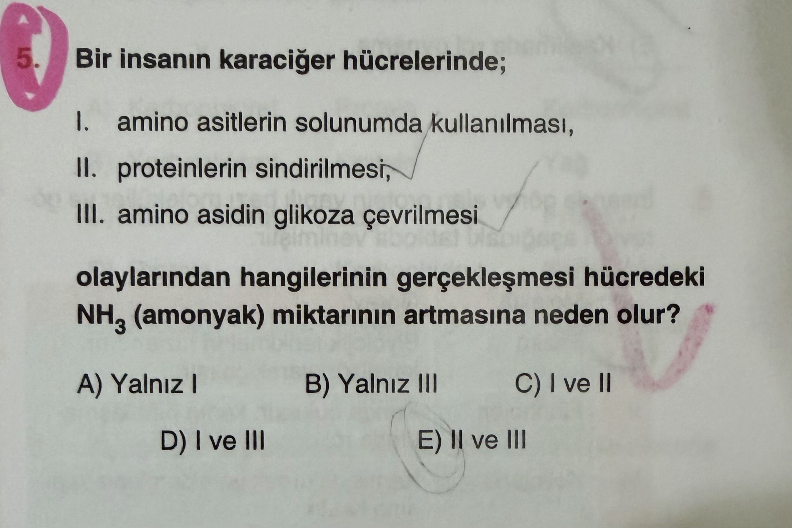 Bir insanın karaciğer hücrelerinde; I. amino asitlerin solunumda kullanılması, II. proteinlerin