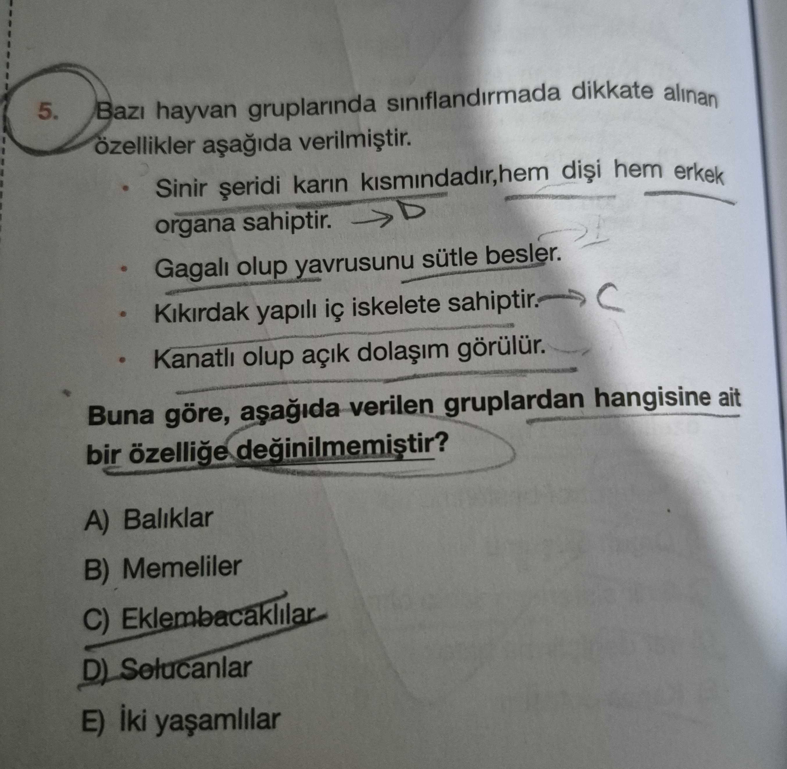 Bazı hayvan gruplarında sınıflandırmada dikkate alınan özellikler aşağıda verilmiştir. • Sinir