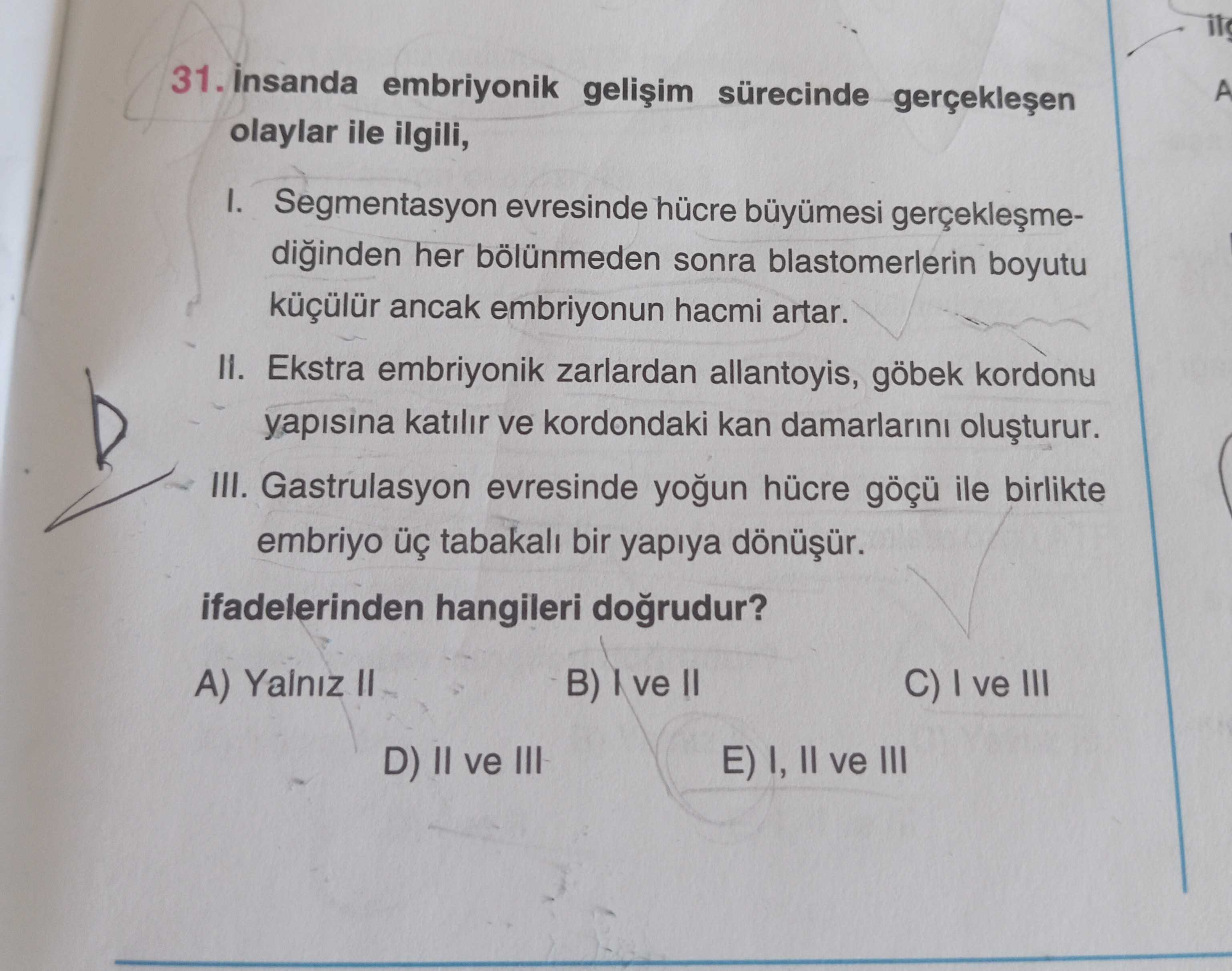 İnsanda embriyonik gelişim sürecinde gerçekleşen olaylar ile ilgili, I. Segmentasyon evresinde hücre