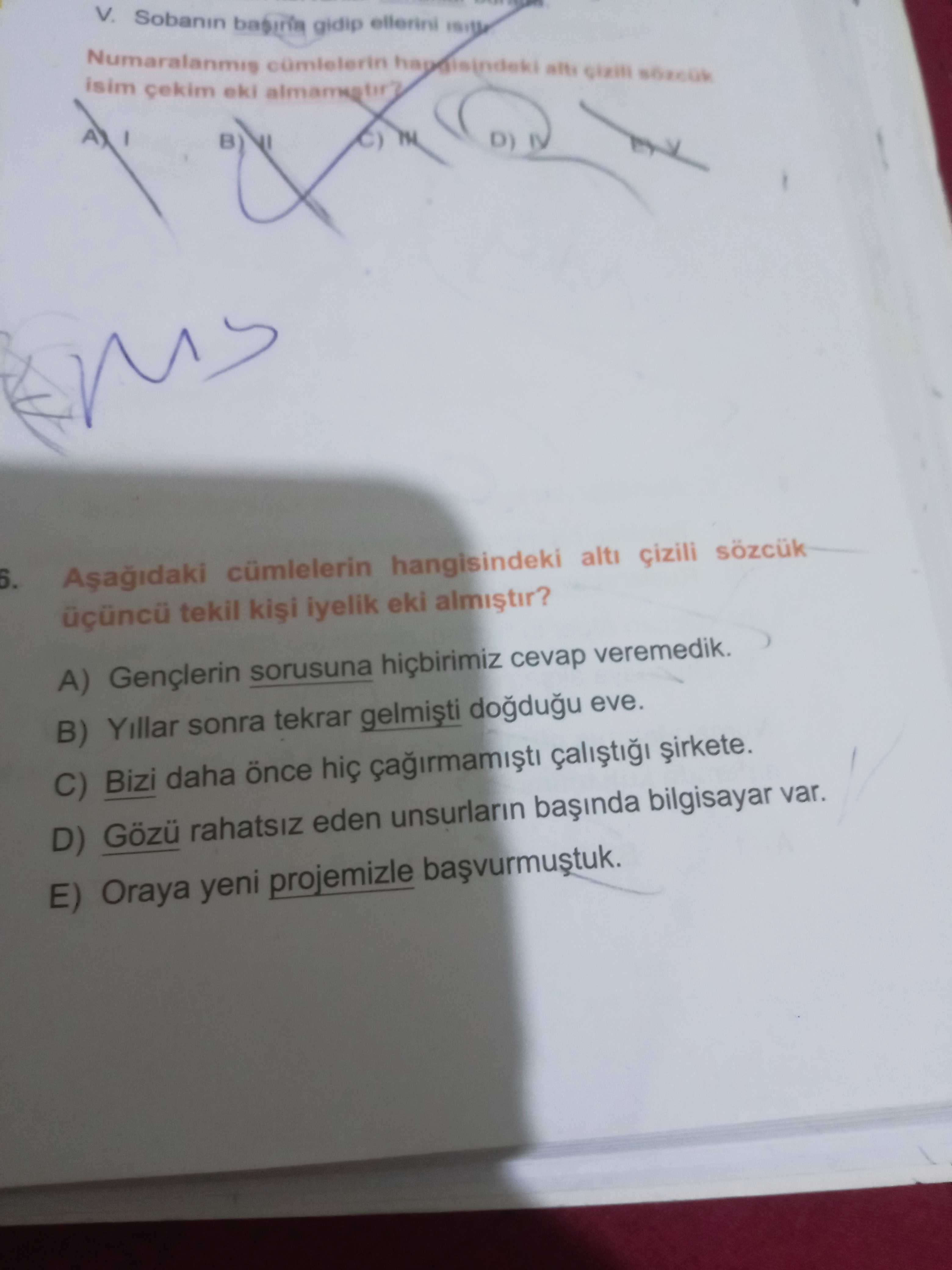 Türkçe (Mezun)