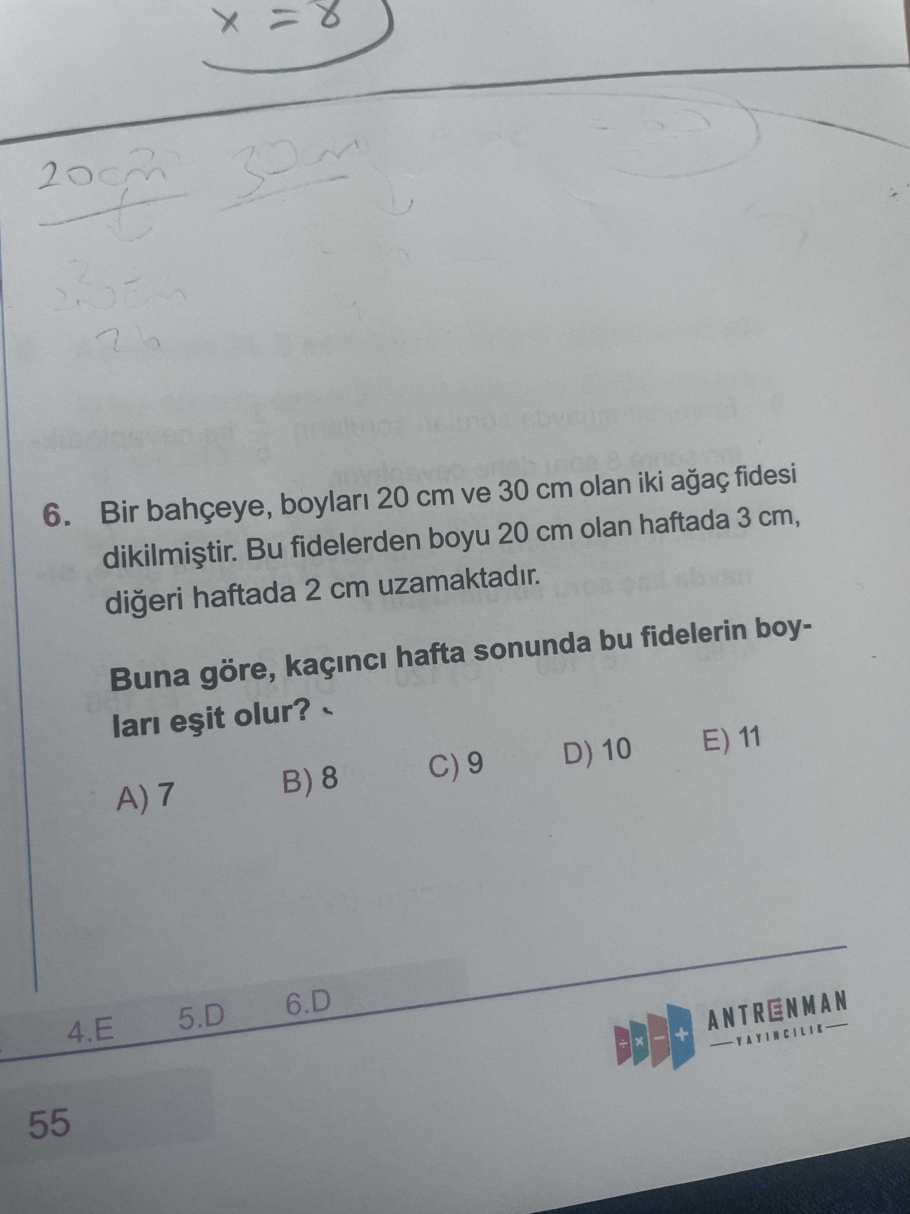 Bir bahçeye, boyları 20 cm ve 30 cm olan iki ağaç fidesi dikilmiştir. Bu fidelerden boyu 20 cm olan