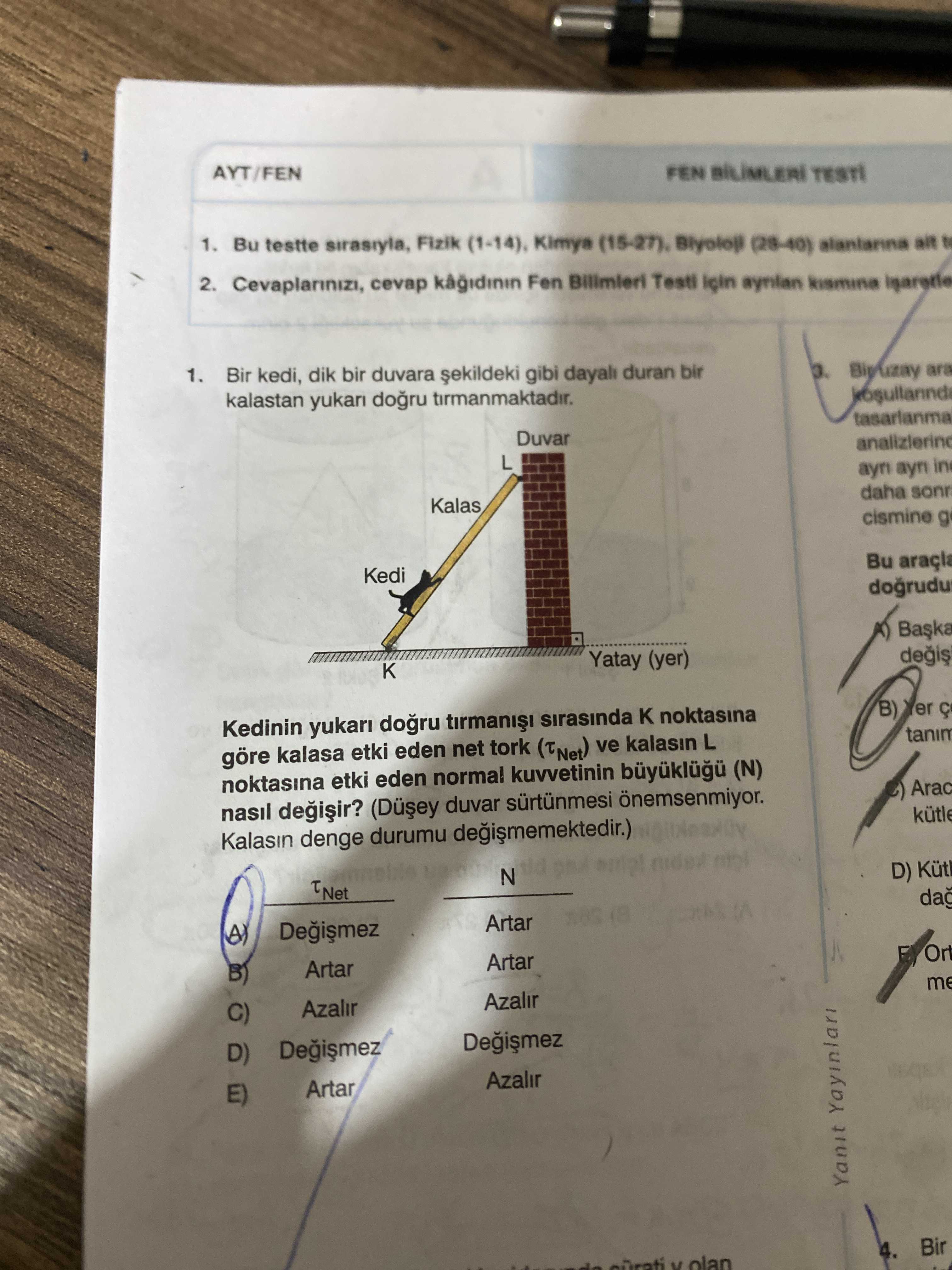 Bir kedi, dik bir duvara şekildeki gibi dayalı duran bir kalastan yukarı doğru tırmanmaktadır