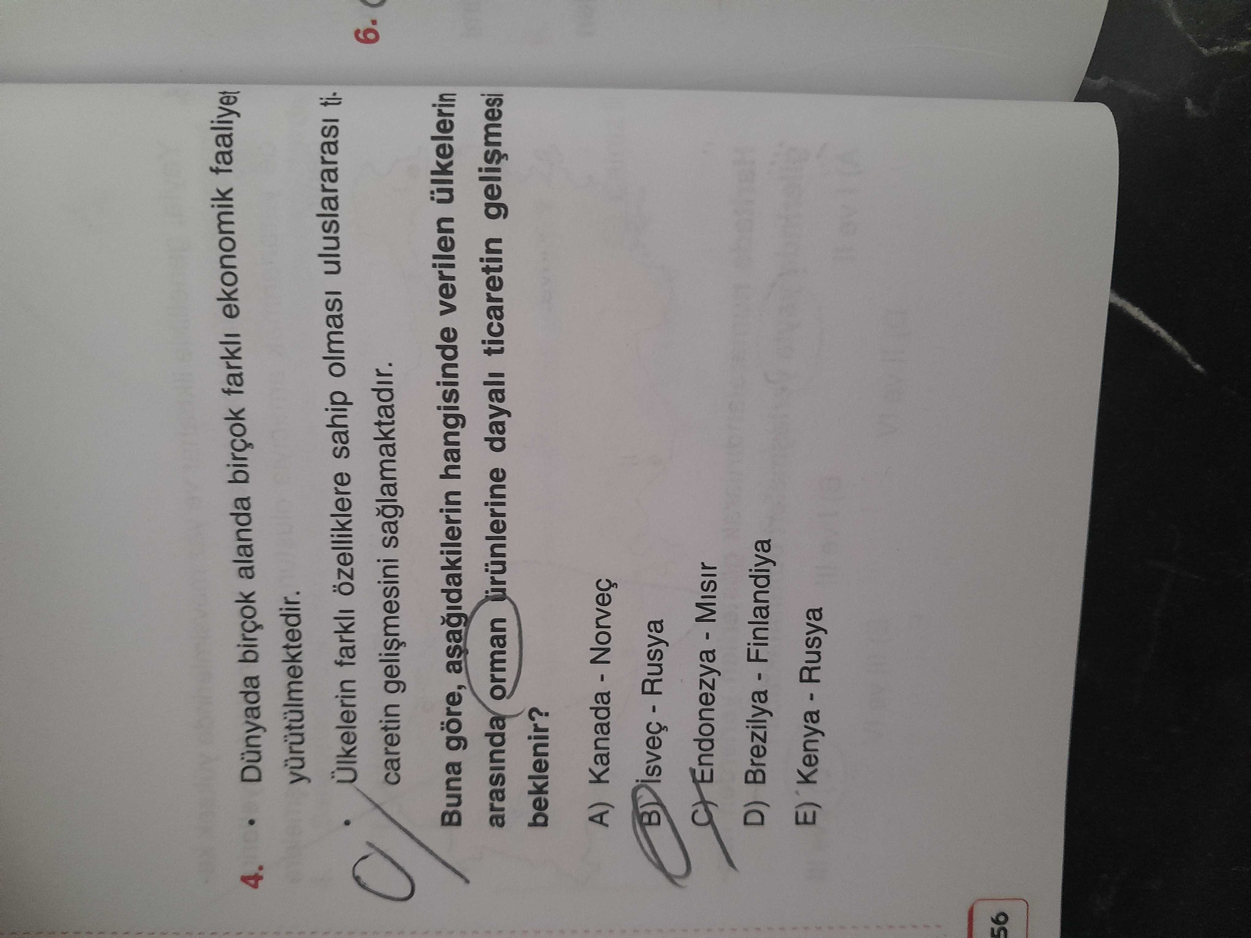 Dünyada birçok alanda birçok farklı ekonomik faaliyet yürütülmektedir. Ülkelerin farklı özelliklere