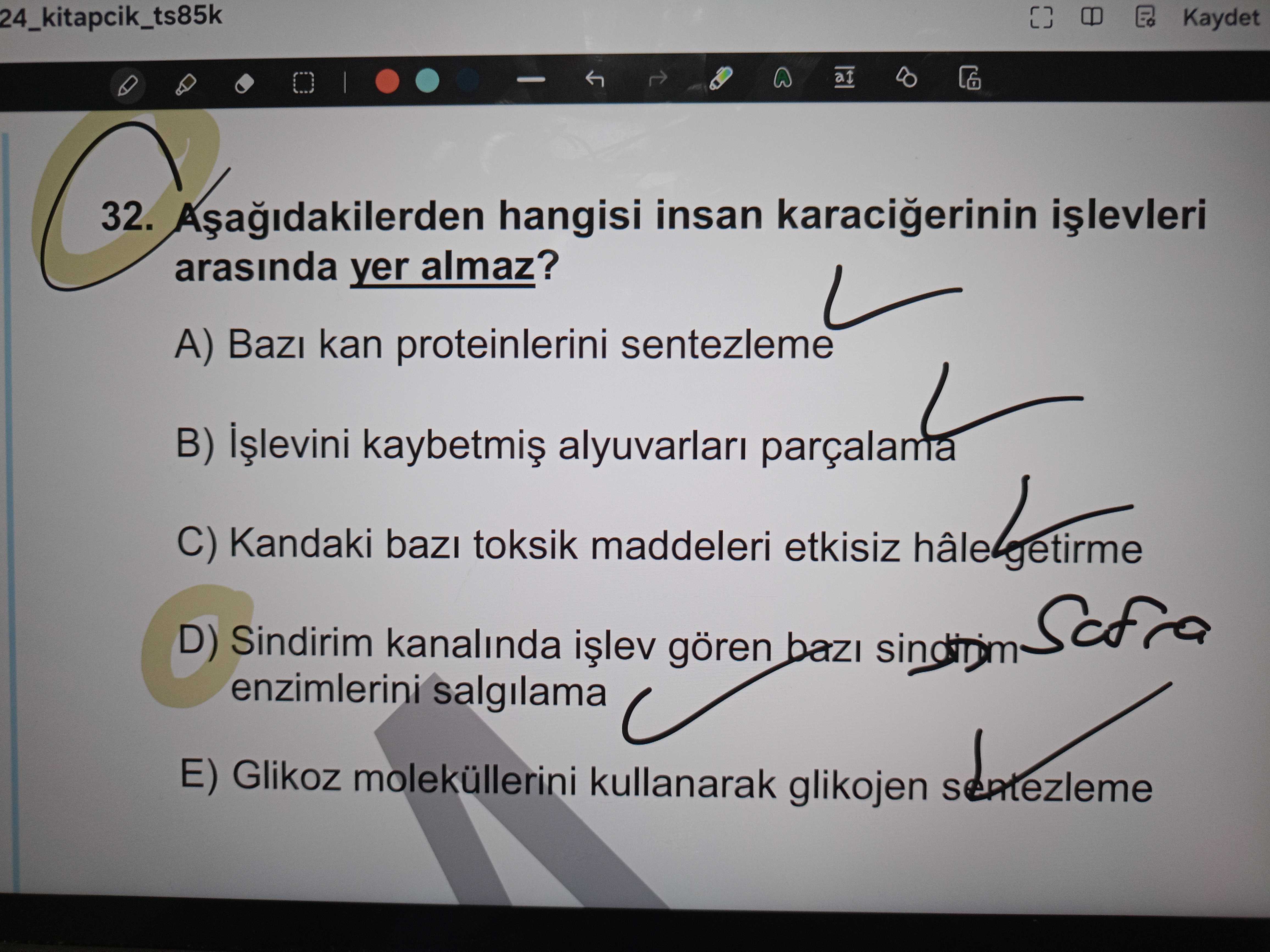 Aşağıdakilerden hangisi insan karaciğerinin işlevleri arasında yer almaz?