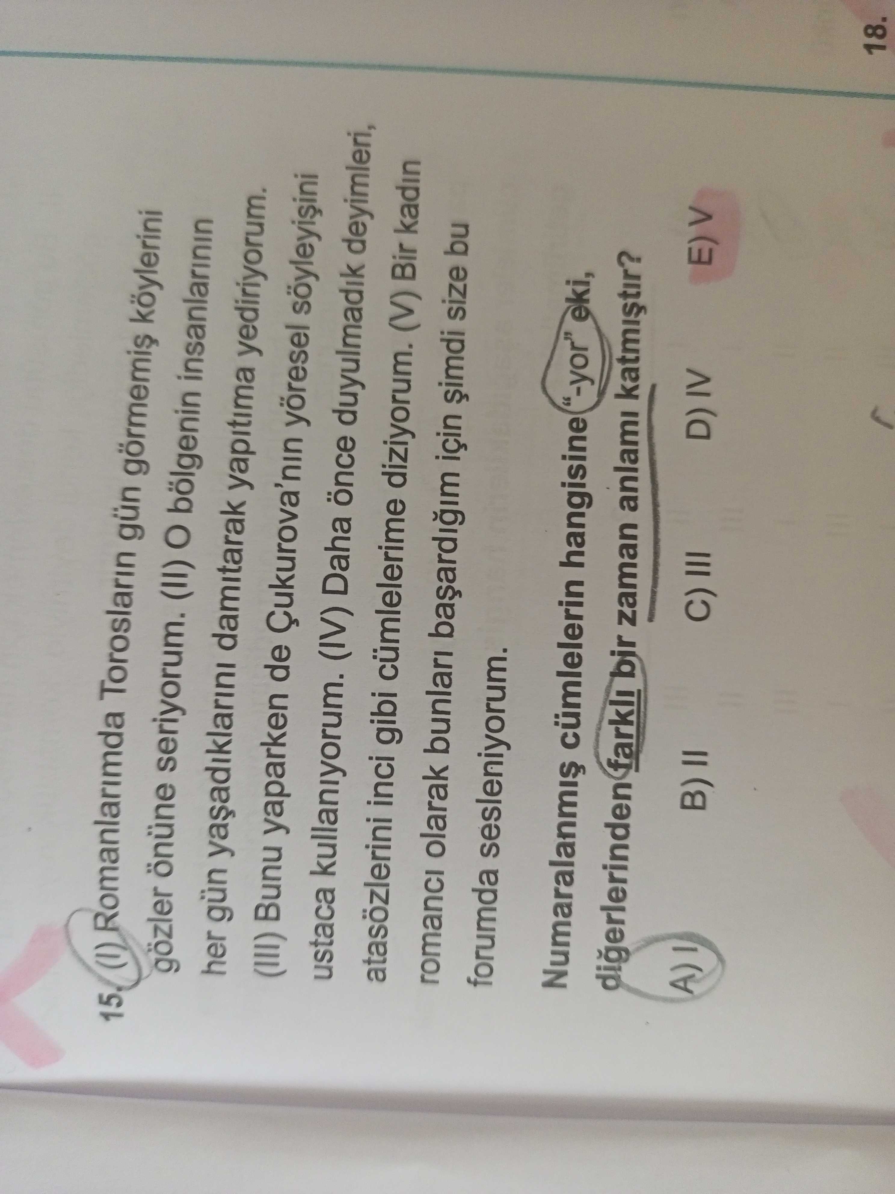 (I) Romanlarımda Torosların gün görmemiş köylerini gözler önüne seriyorum. (II) O bölgenin
