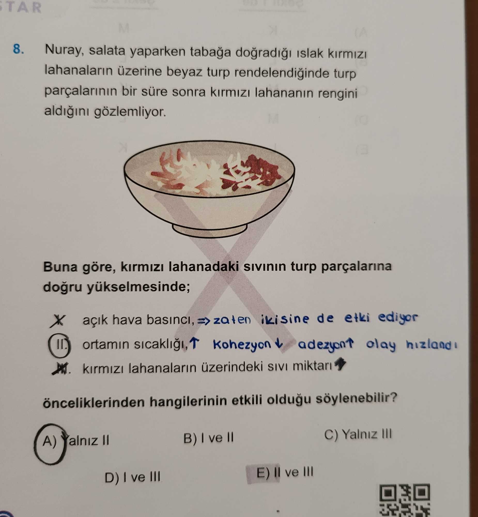 Nuray, salata yaparken tabağa doğradığı ıslak kırmızı lahanaların üzerine beyaz turp rendelendiğinde