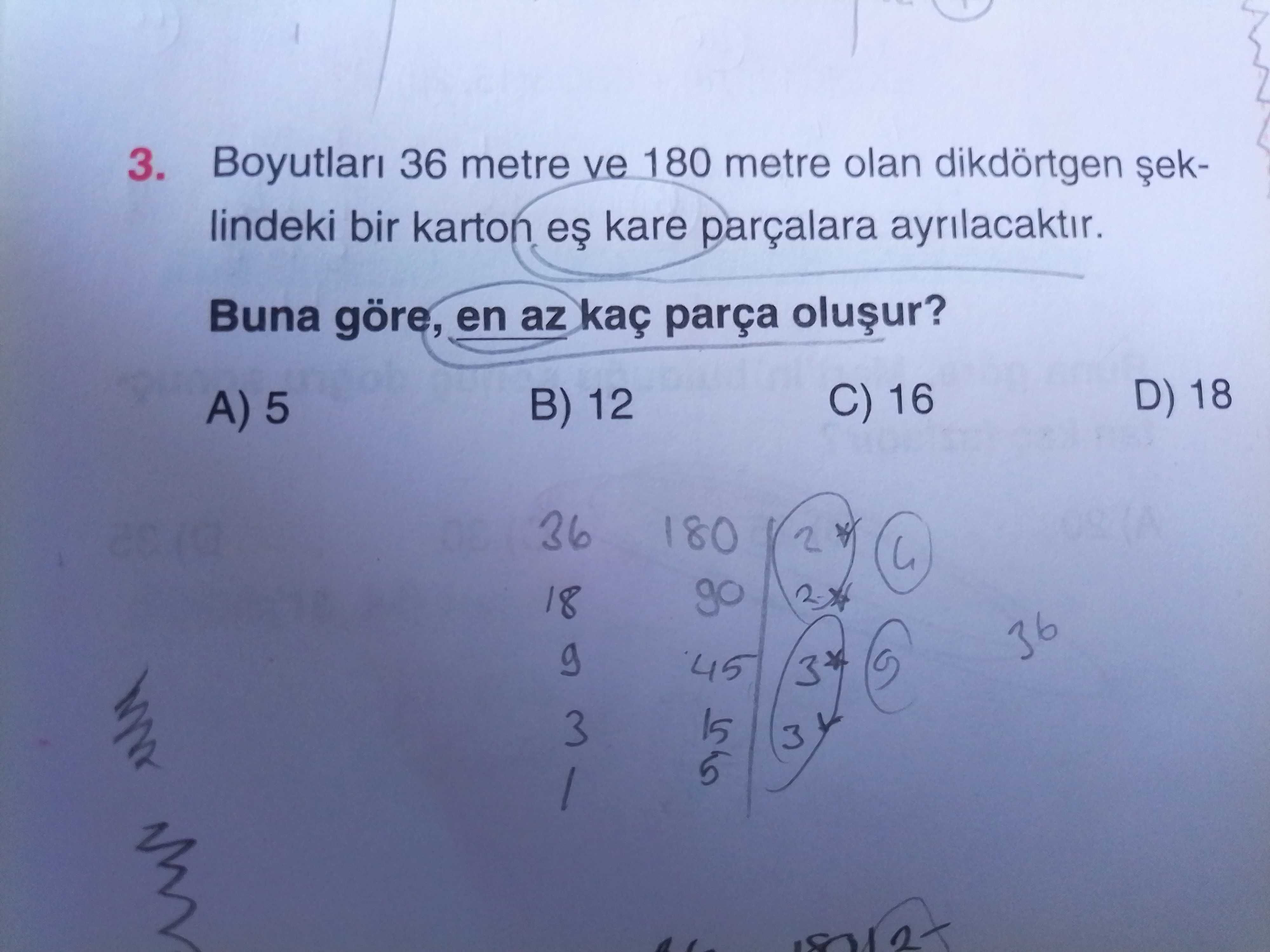 Matematik (8. Sınıf)