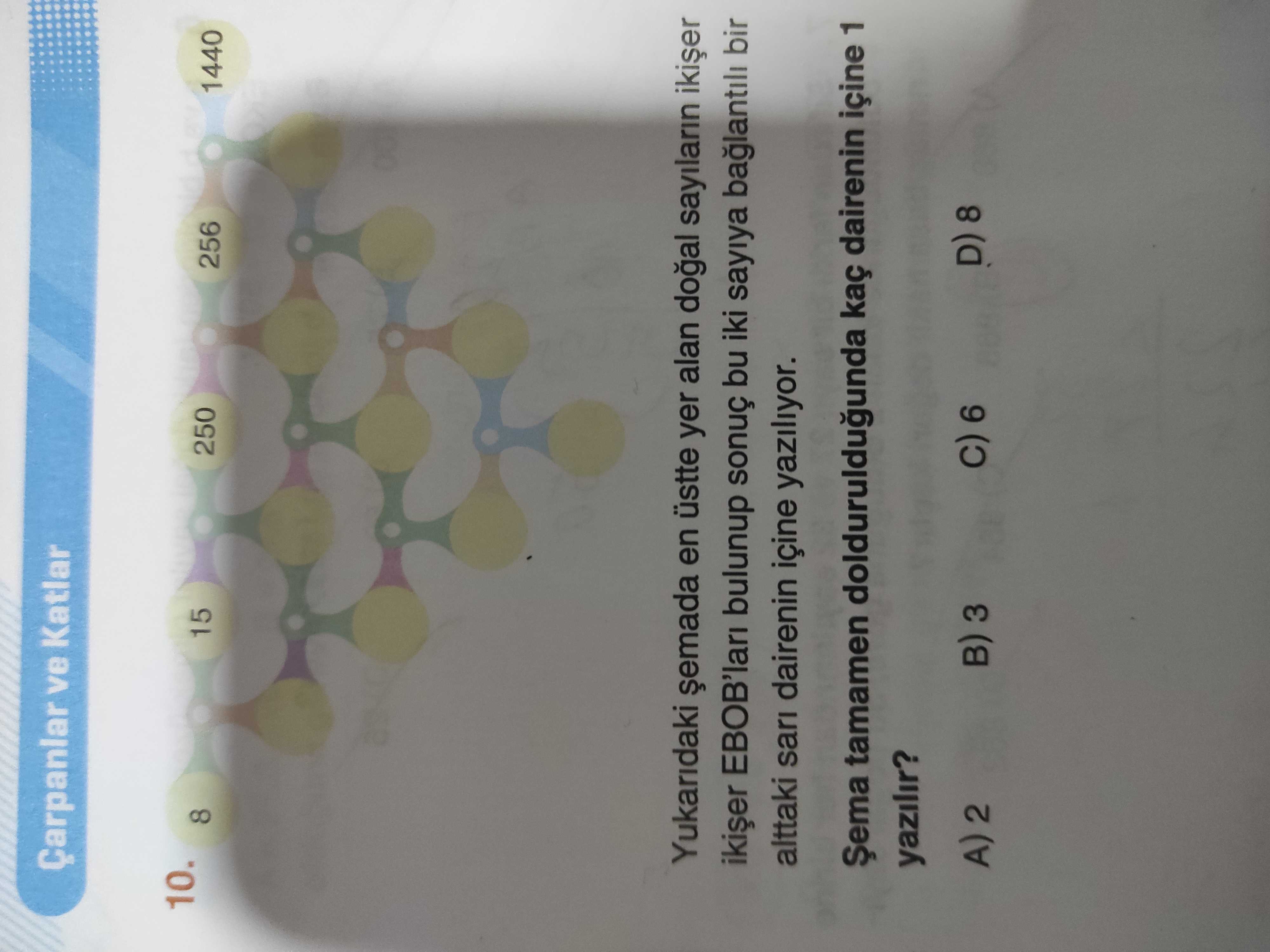 Matematik (8. Sınıf)