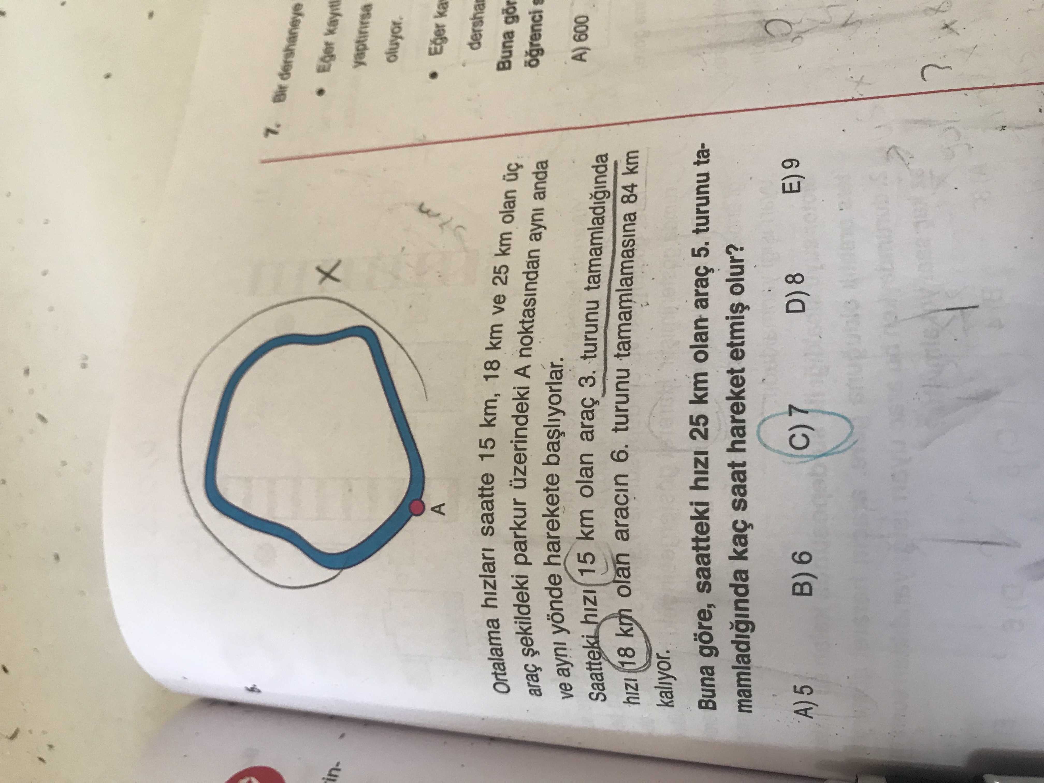 Matematik (12. Sınıf)