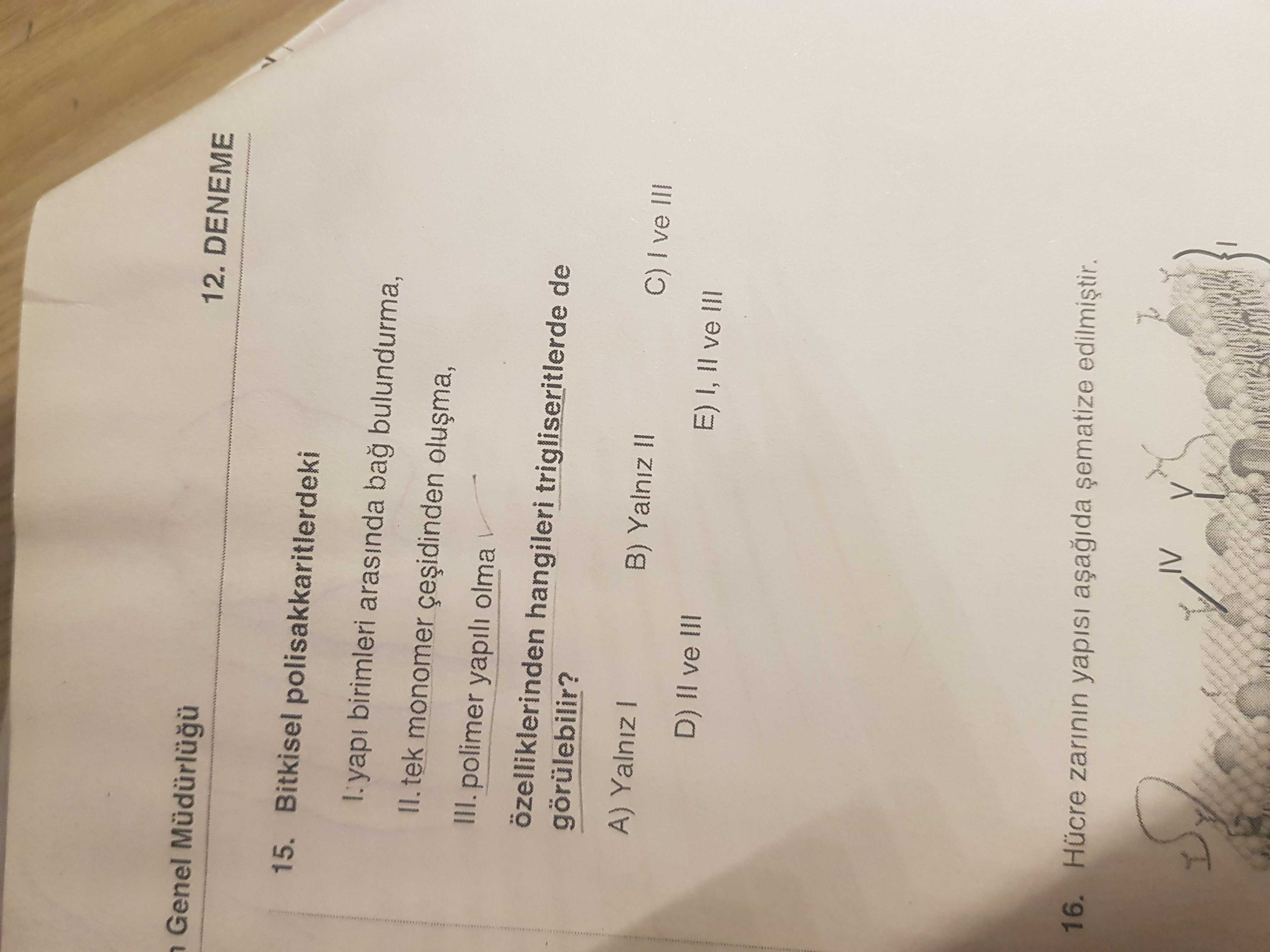 Bitkisel polisakkaritlerde ki I. yapı birimleri arasında bağ bulundurma, II. tek monomer çeşidinden