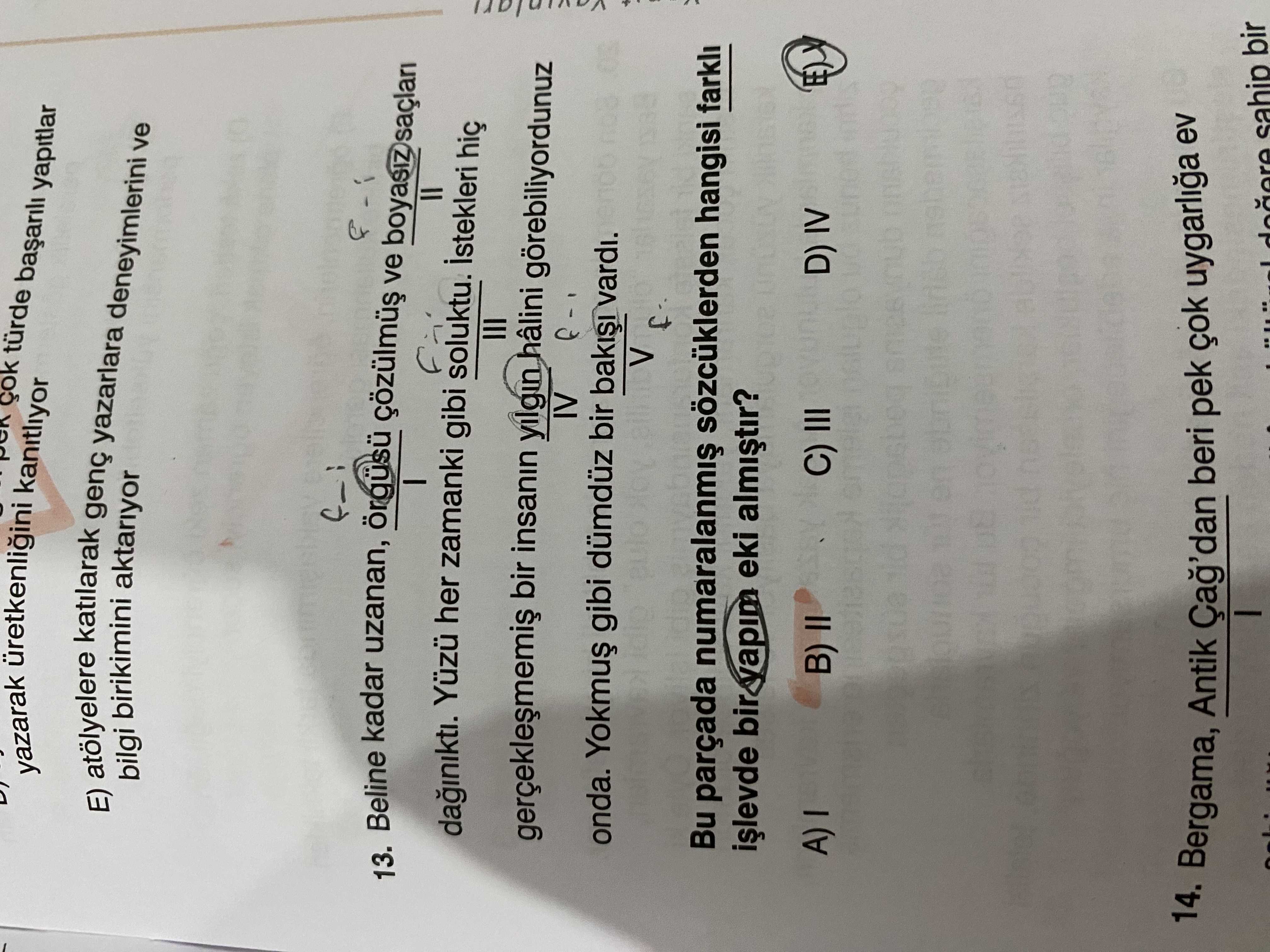 Beline kadar uzanan, örgüsü çözülmüş ve boyasız saçları I II dağınıktı. Yüzü her zamanki gibi