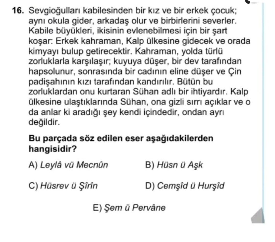 Sevgioğulları kabilesinden bir kız ve bir erkek çocuk; aynı okula gider, arkadaş olur ve