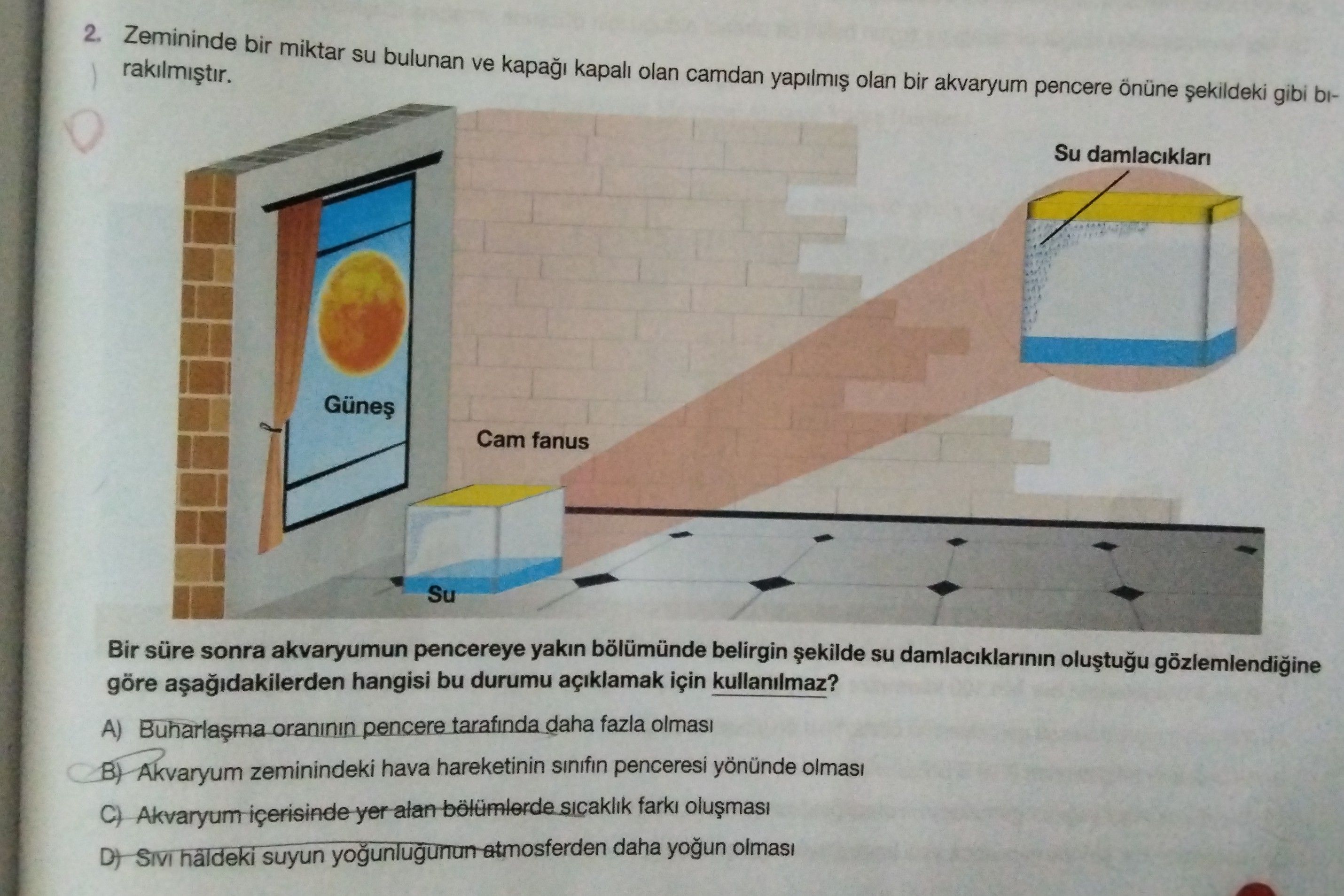Zemininde bir miktar su bulunan ve kapağı kapalı olan camdan yapılmış olan bir akvaryum pencere