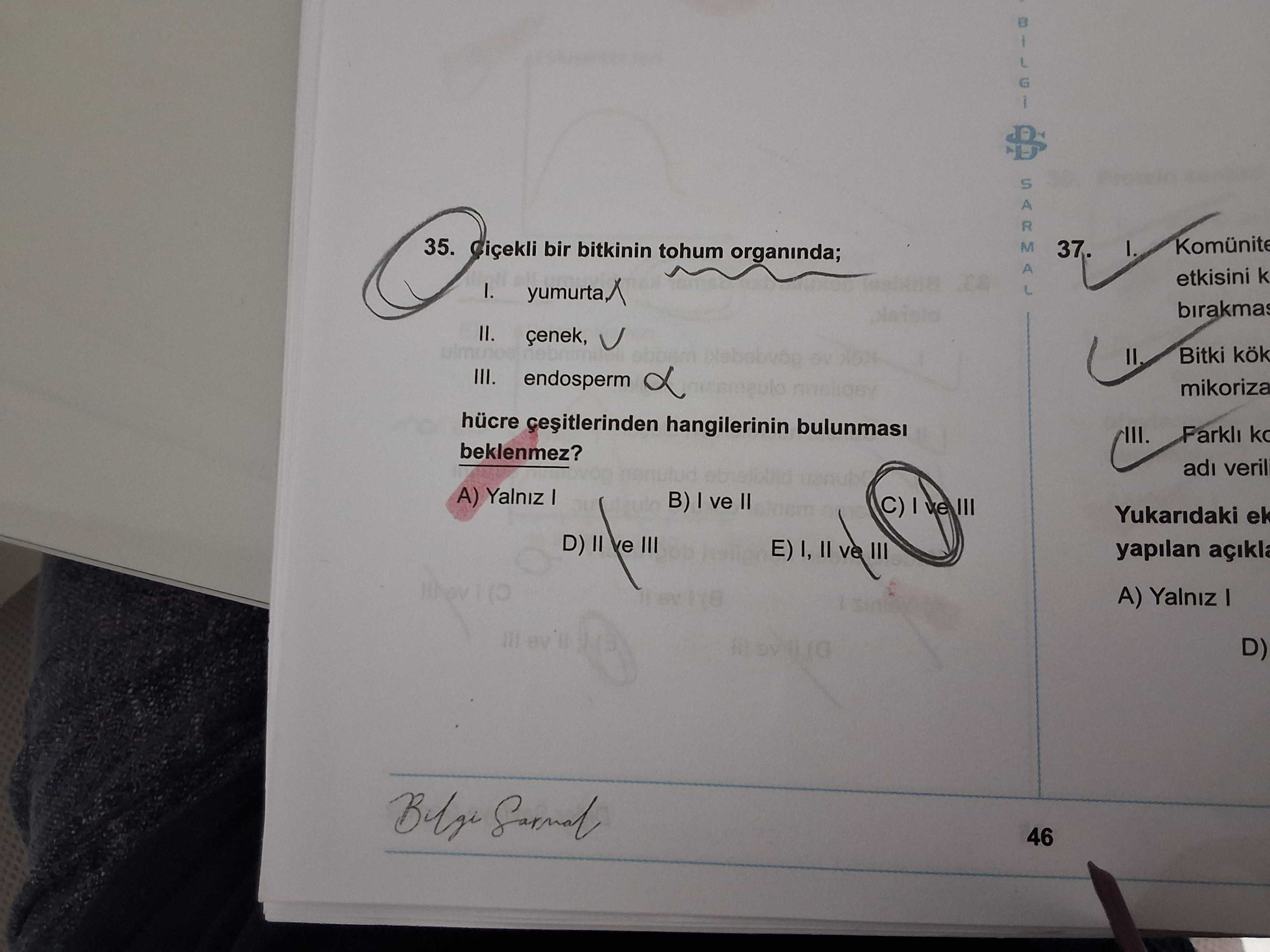 Çiçekli bir bitkinin tohum organında; I. yumurta, II. çenek, III. endosperm hücre çeşitlerinden