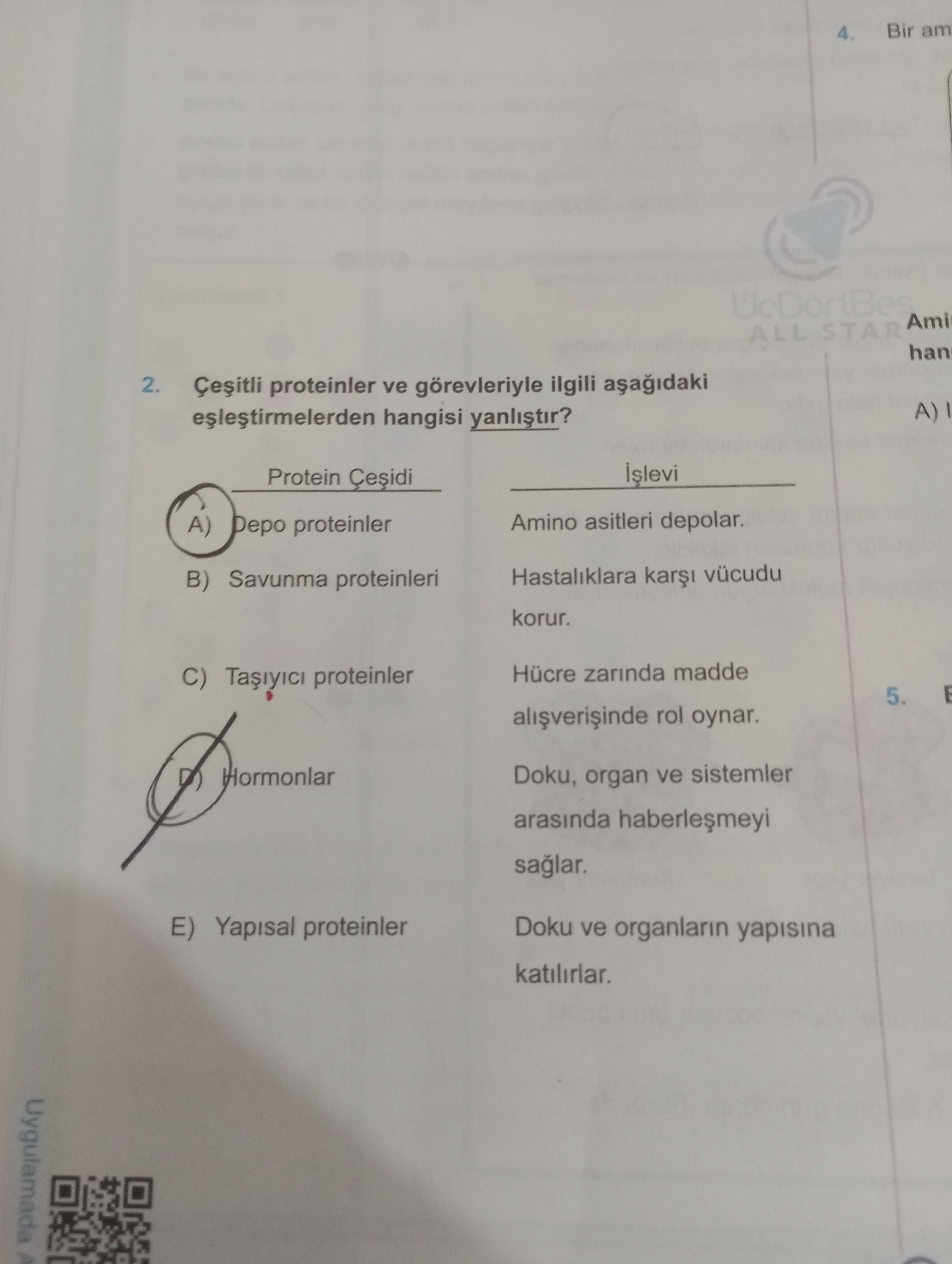 Çeşitli proteinler ve görevleriyle ilgili aşağıdaki eşleştirmelerden hangisi yanlıştır? Protein