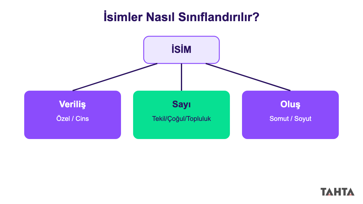 5. sınıf isimler konusunun veriliş, sayı ve oluş ölçütüne göre sınıflandırma haritası