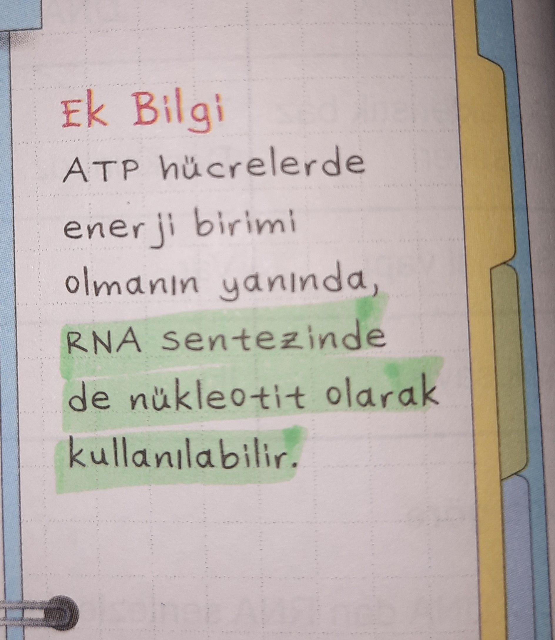 Ek Bilgi ATP hücrelerde enerji birimi olmanın yanında, RNA sentezinde de nükleotit olarak
