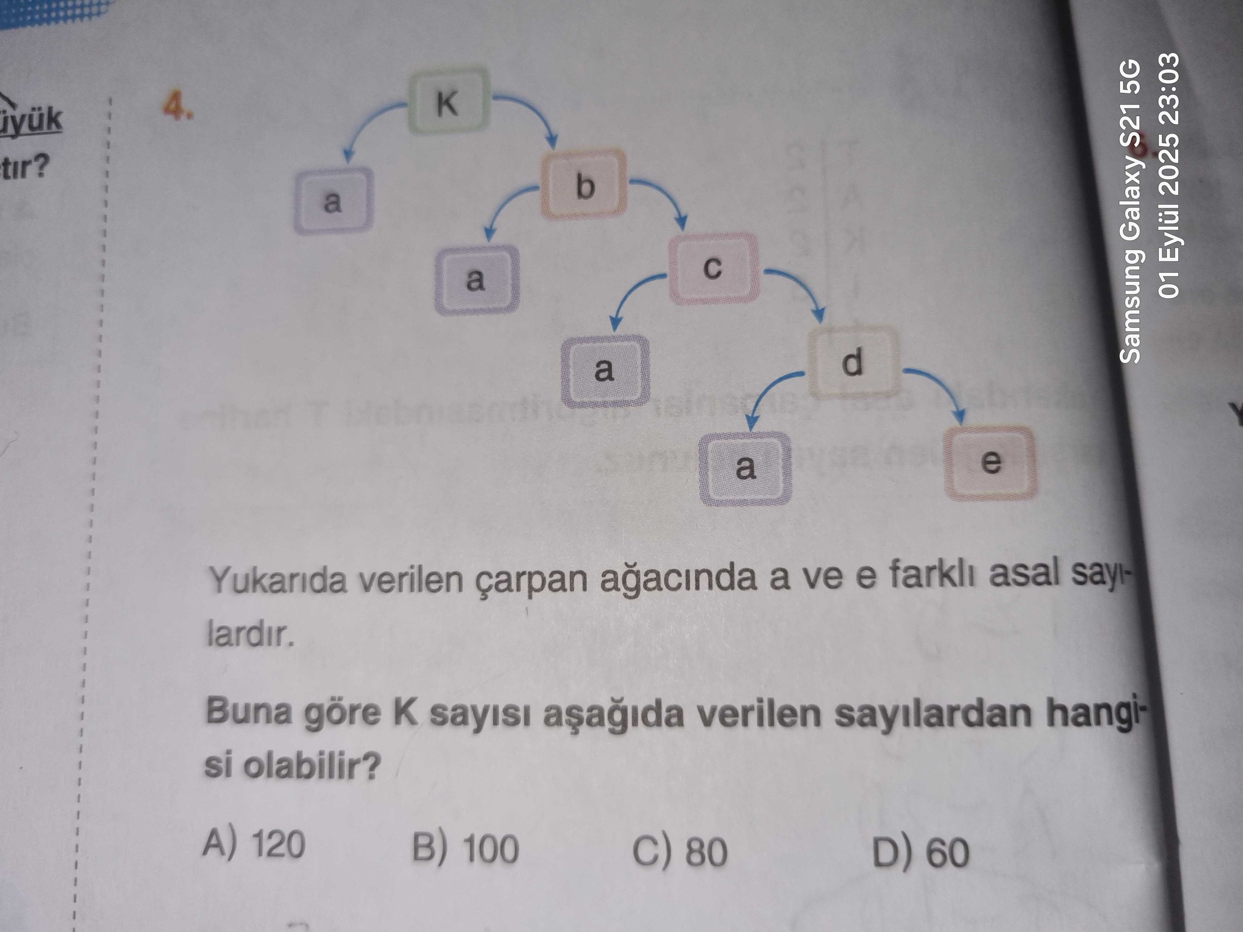 Matematik (8. Sınıf)