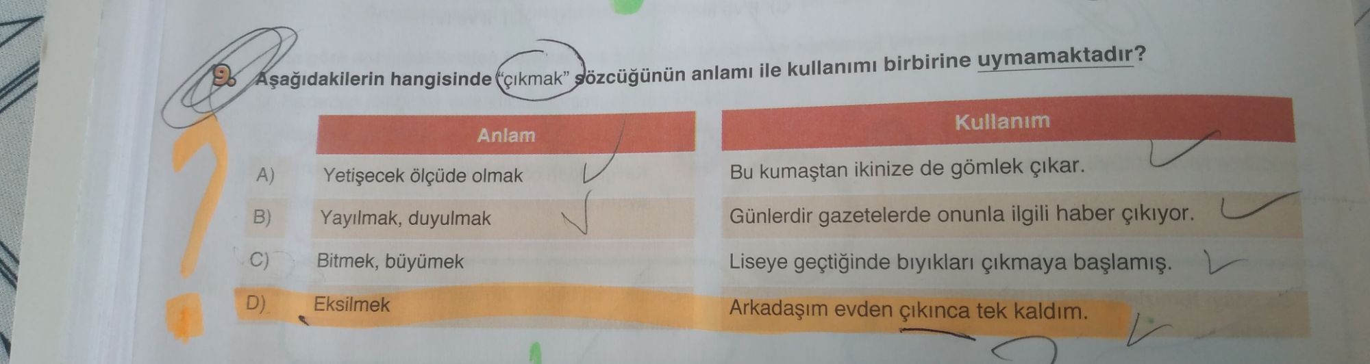 Aşağıdakilerin hangisinde "çıkmak" sözcüğünün anlamı ile kullanımı birbirine uymamaktadır? Anlam