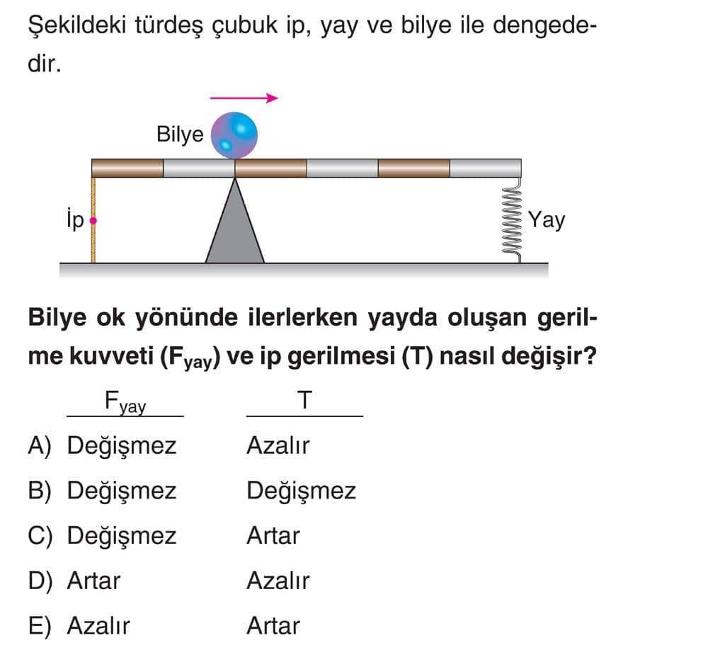 Fizik (Mezun)
