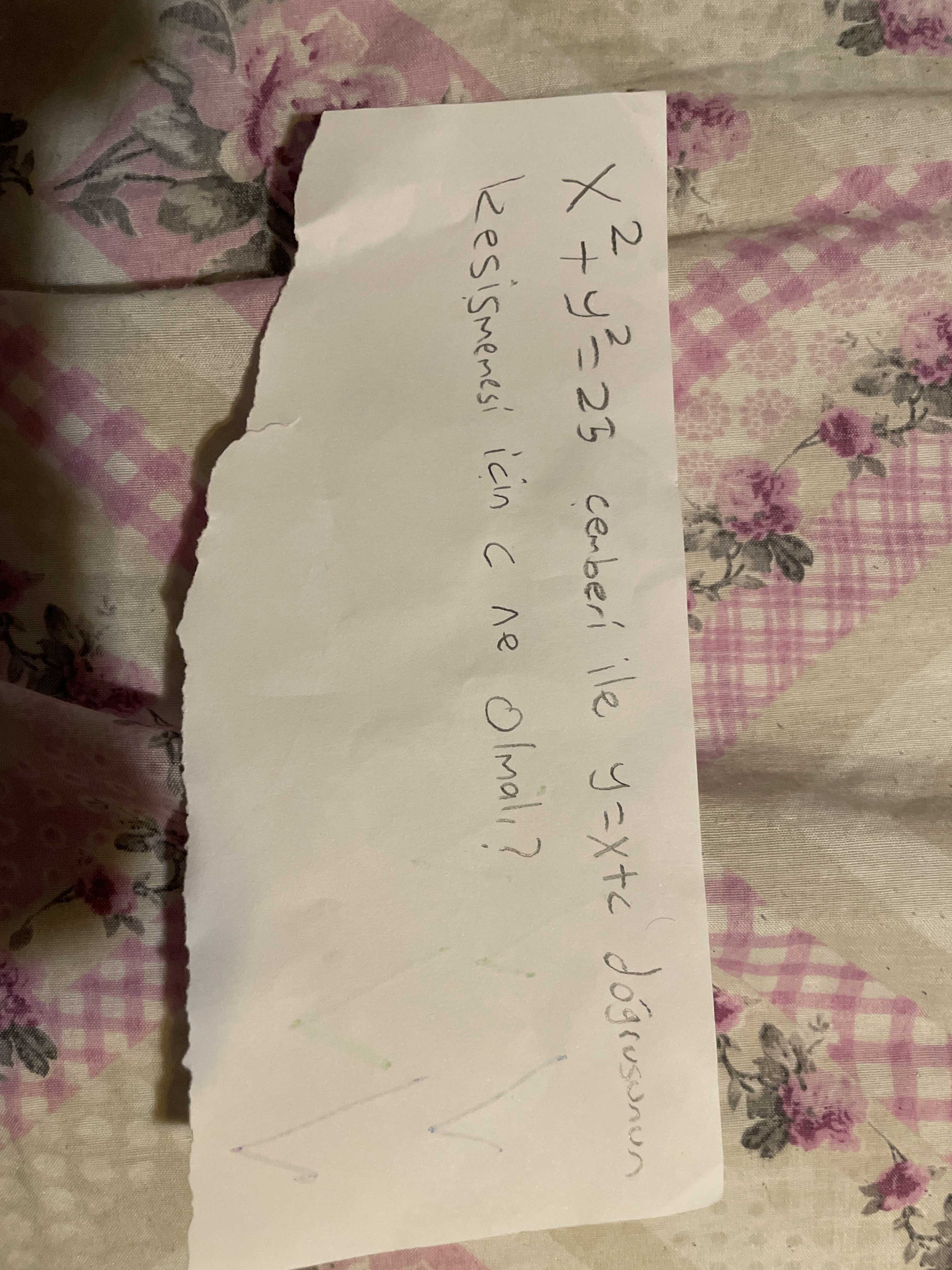 Matematik (11. Sınıf)
