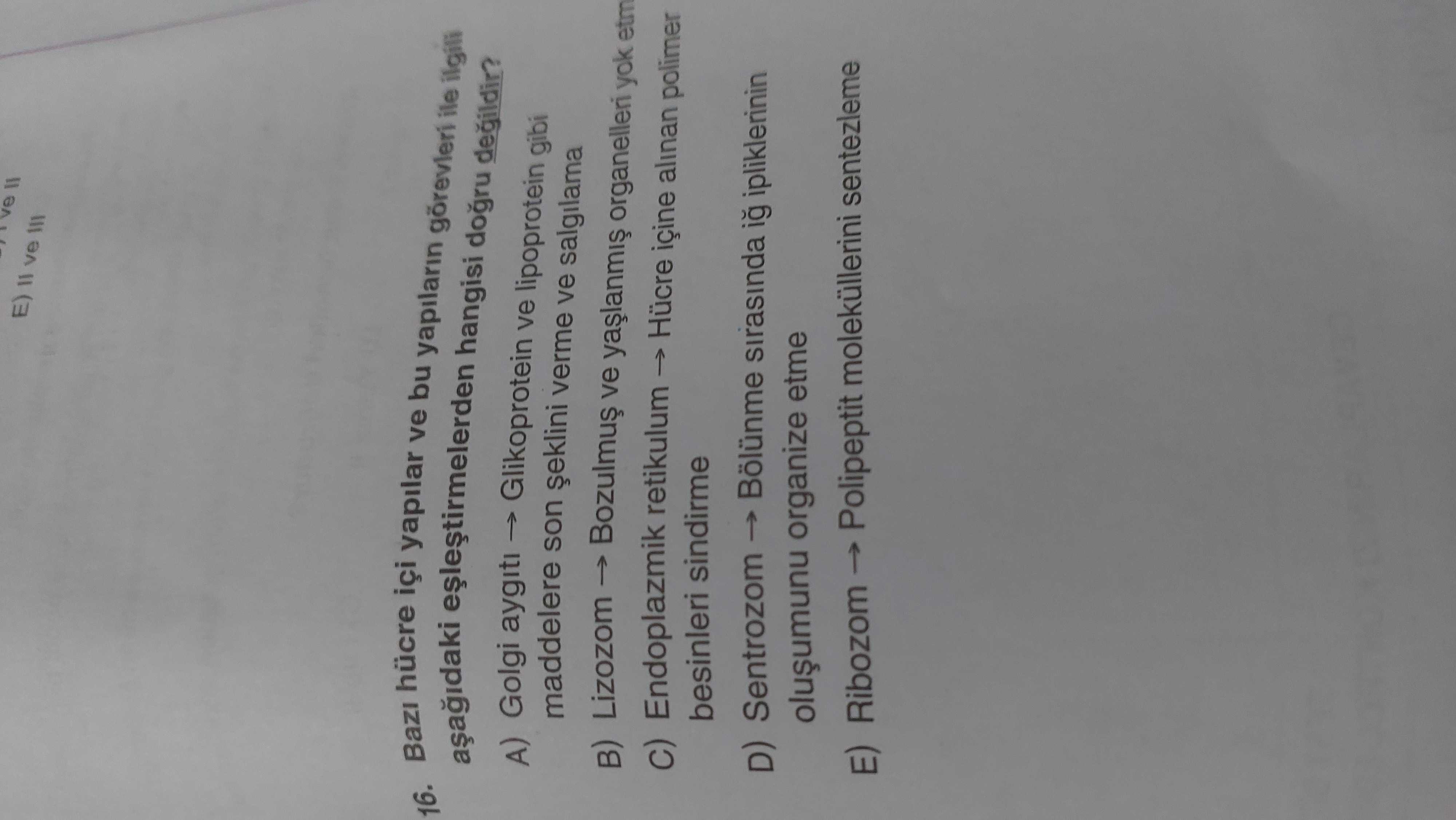 E) ve 16. hücre içi yapilar bu yapilarin hangisi dogru görevleri ile ilgili ve A) Golgi aygiti Glikoprotein ve lipoprotein gibi maddelere son verme ve salgilama B) Lizozom ve organelleri yok etm Endoplazmik retikulum Hücre içine alinan polimer besinleri sindirme Bölünme sirasinda ipliklerinin D) Sentrozom organize etme Polipeptit moleküllerini sentezleme E) Ribozom E) ve 16. hücre içi yapilar bu yapilarin hangisi dogru görevleri ile ilgili ve A) Golgi aygiti Glikoprotein ve lipoprotein gibi maddelere son verme ve salgilama B) Lizozom ve organelleri yok etm Endoplazmik retikulum Hücre içine alinan polimer besinleri sindirme Bölünme sirasinda ipliklerinin D) Sentrozom organize etme Polipeptit moleküllerini sentezleme E) Ribozom. ?? Model.Question.title