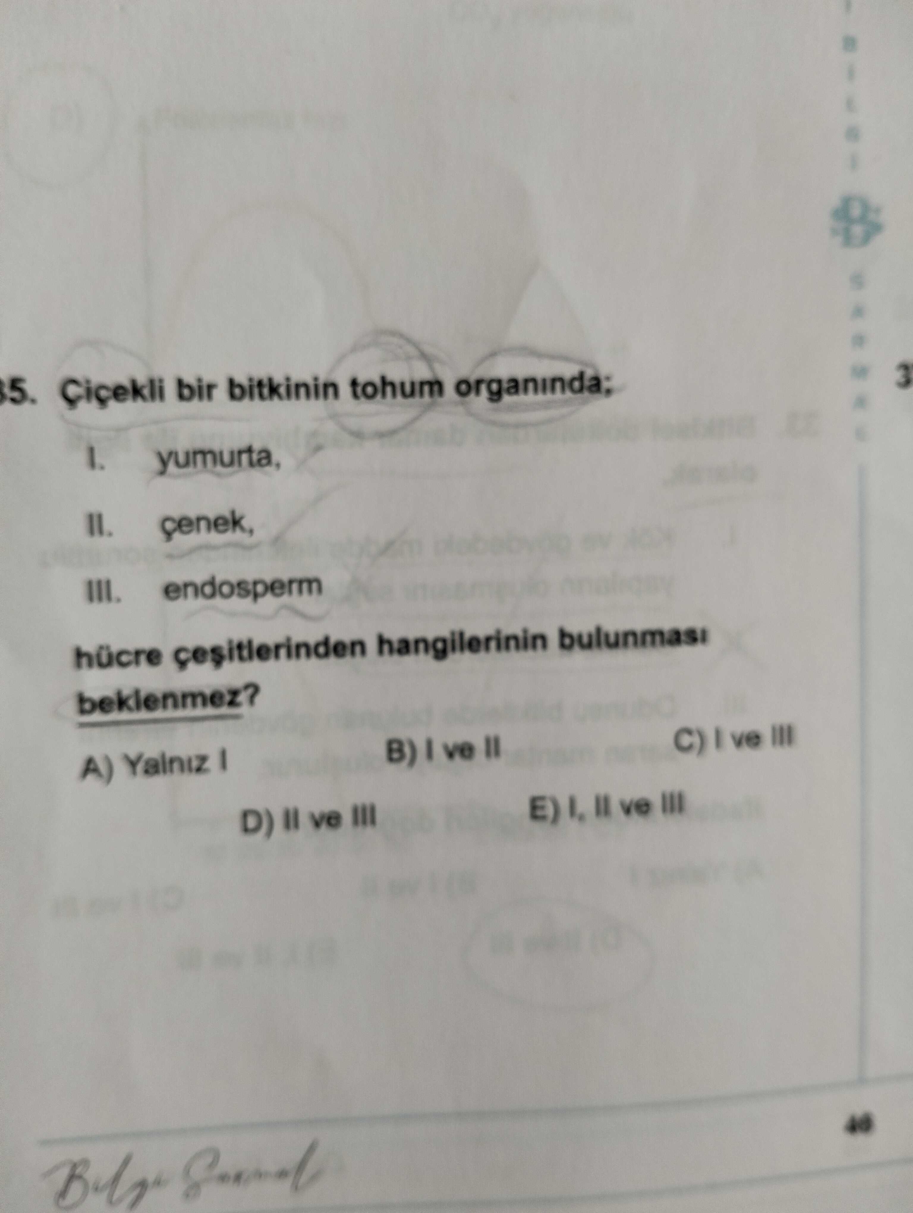 Çiçekli bir bitkinin tohum organında; I. yumurta, II. çenek, III. endosperm hücre çeşitlerinden
