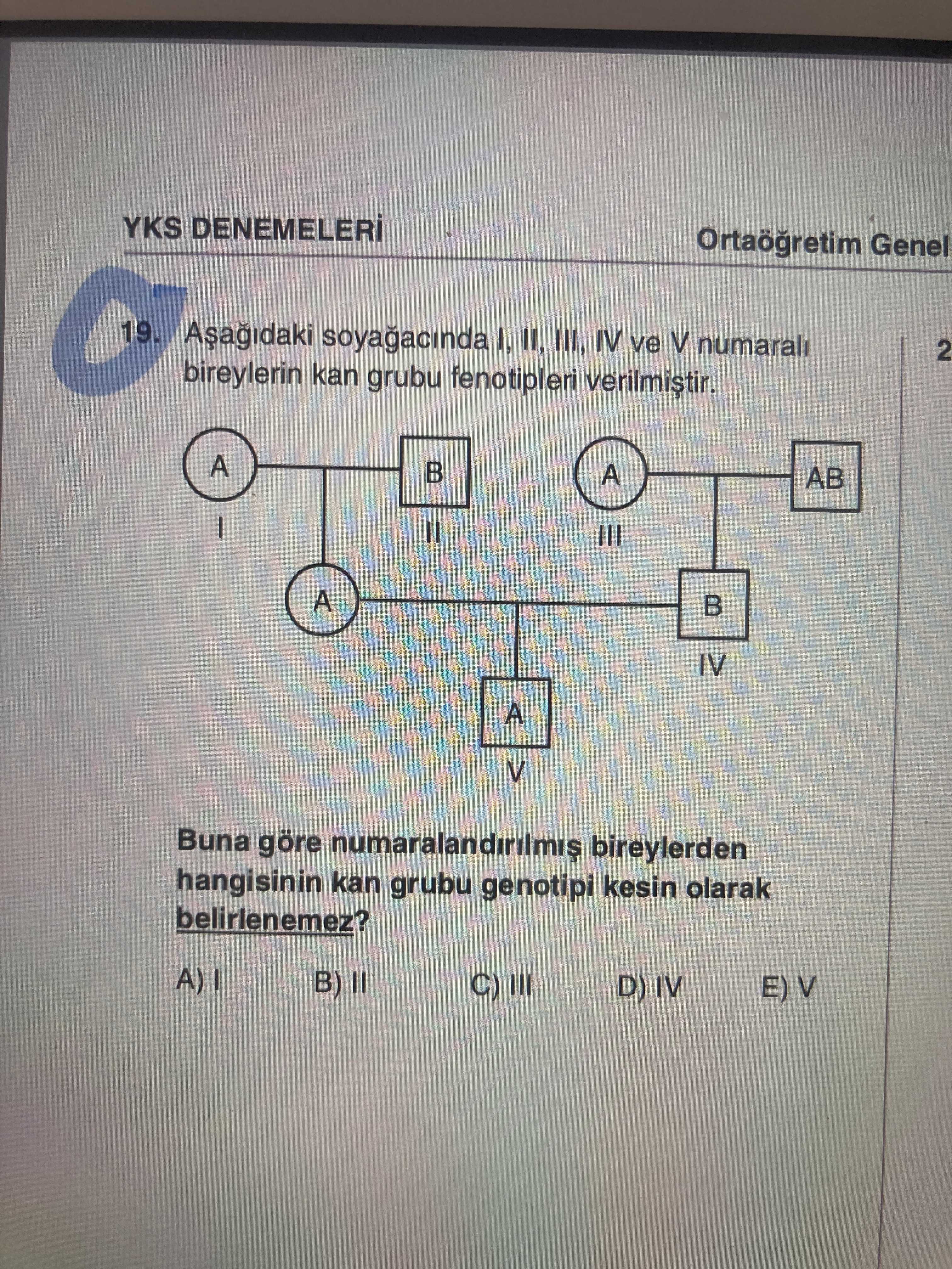 Aşağıdaki soyağacında I, II, III, IV ve V numaralı bireylerin kan grubu fenotipleri verilmiştir