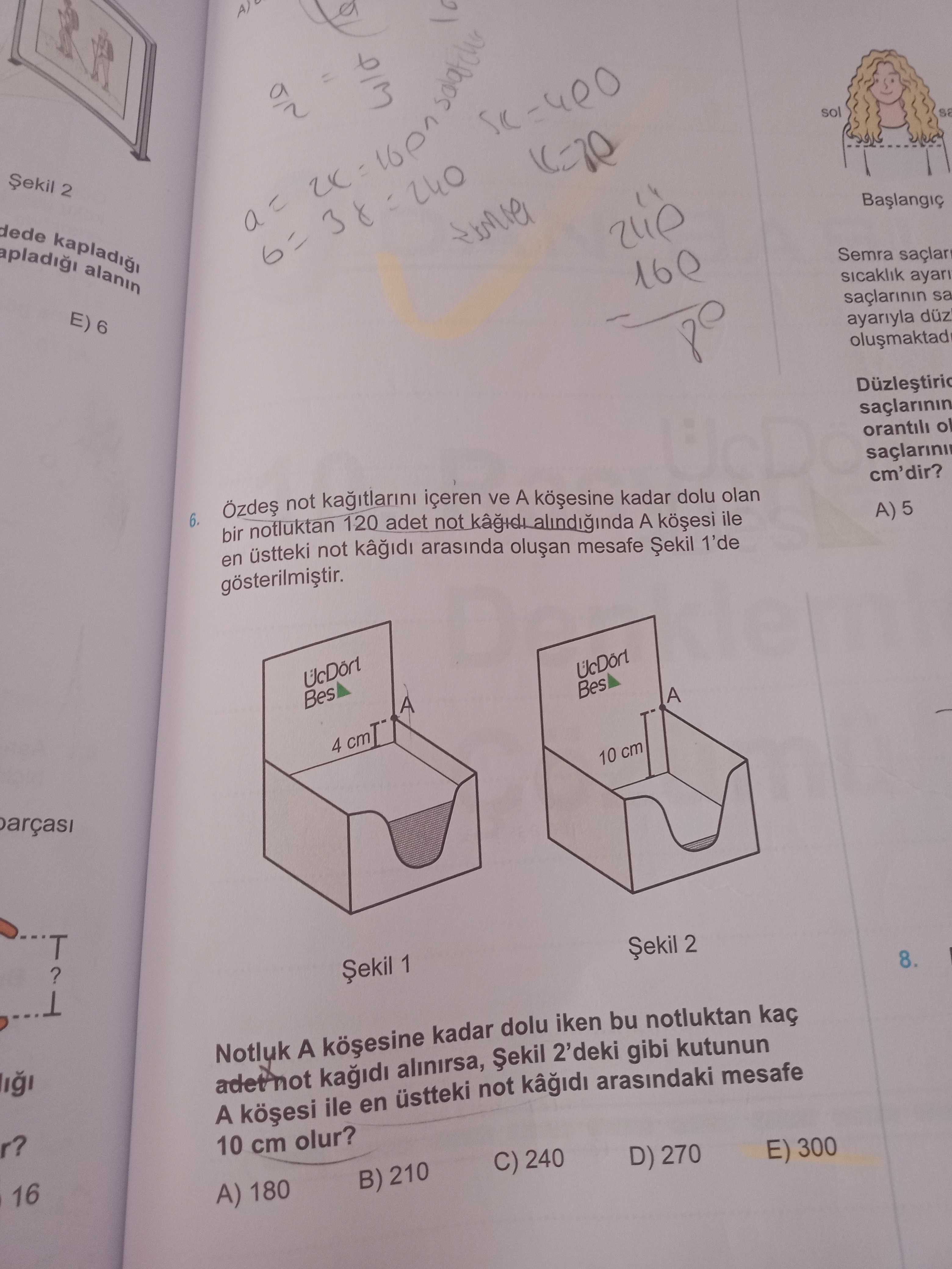 Matematik (12. Sınıf)