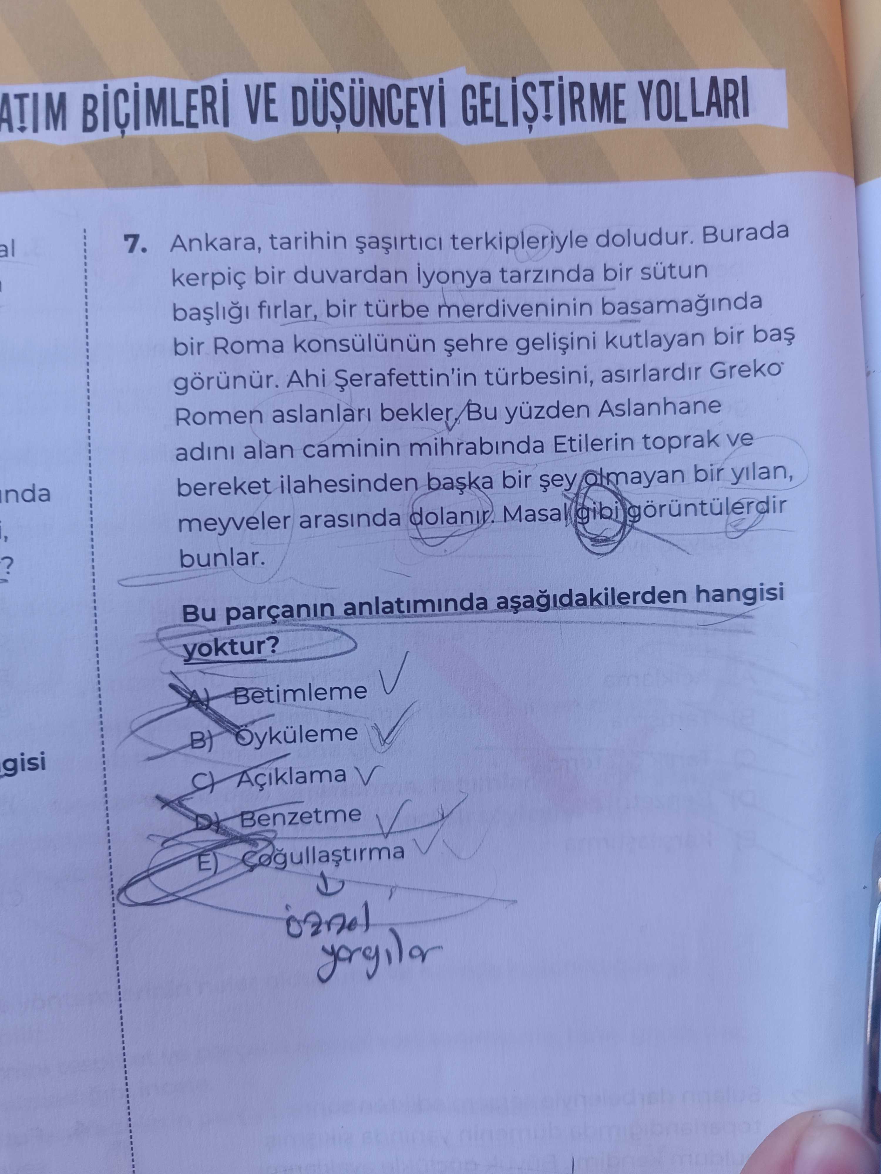 Türkçe (12. Sınıf)