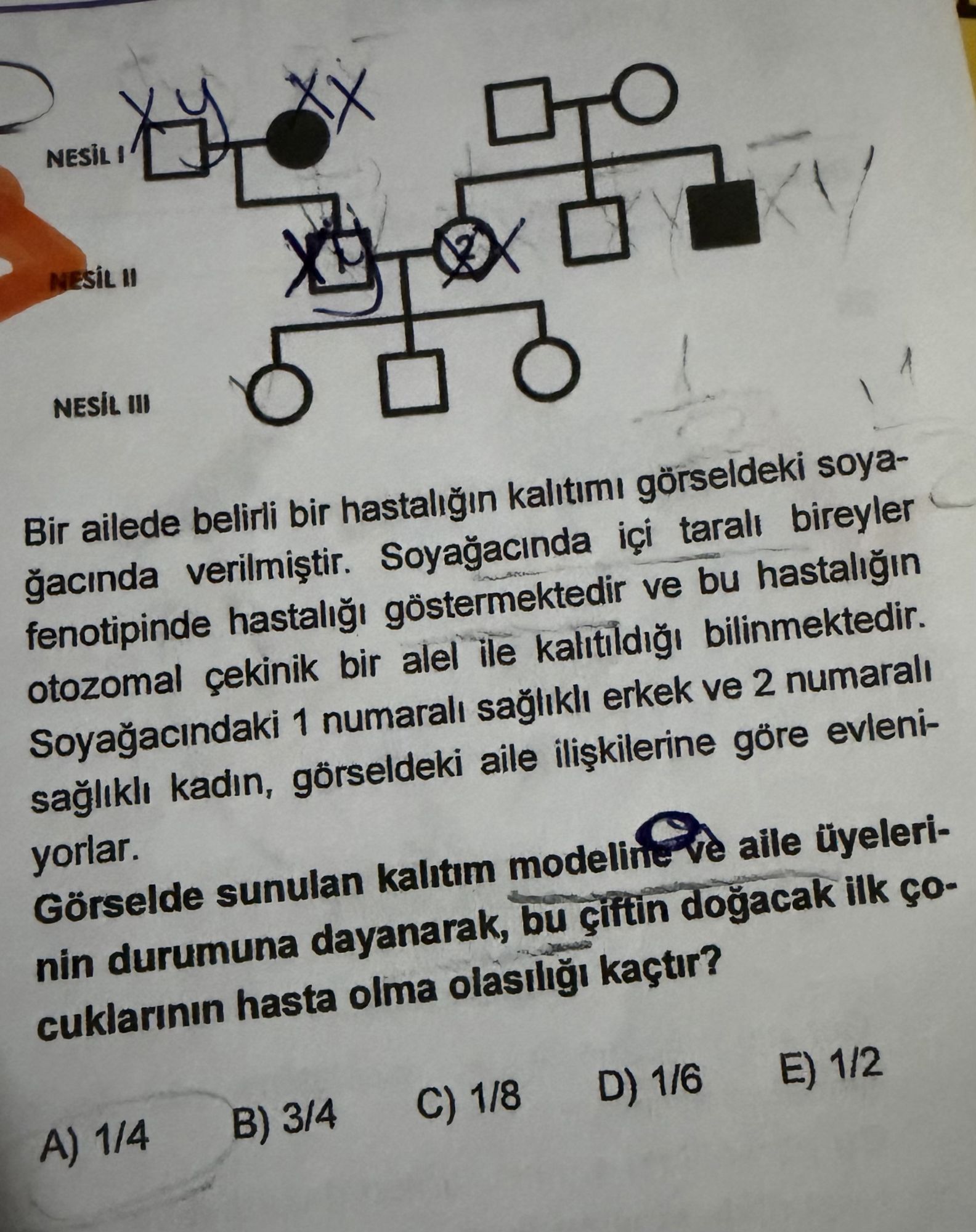Bir ailede belirli bir hastalığın kalıtımı görseldeki soyağacında verilmiştir. Soyağacında içi