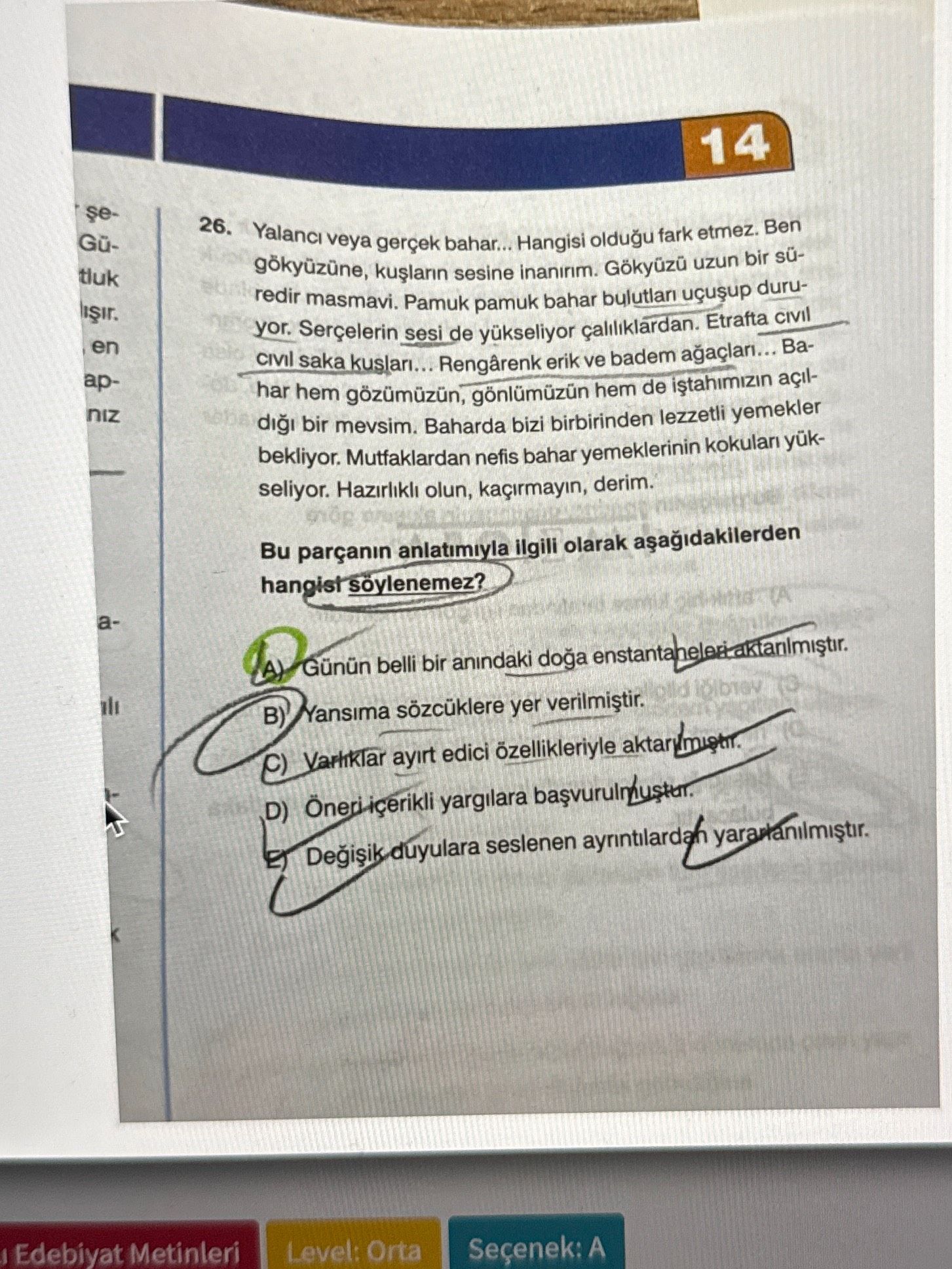 Yalancı veya gerçek bahar... Hangisi olduğu fark etmez. Ben gökyüzüne, kuşların sesine inanırım