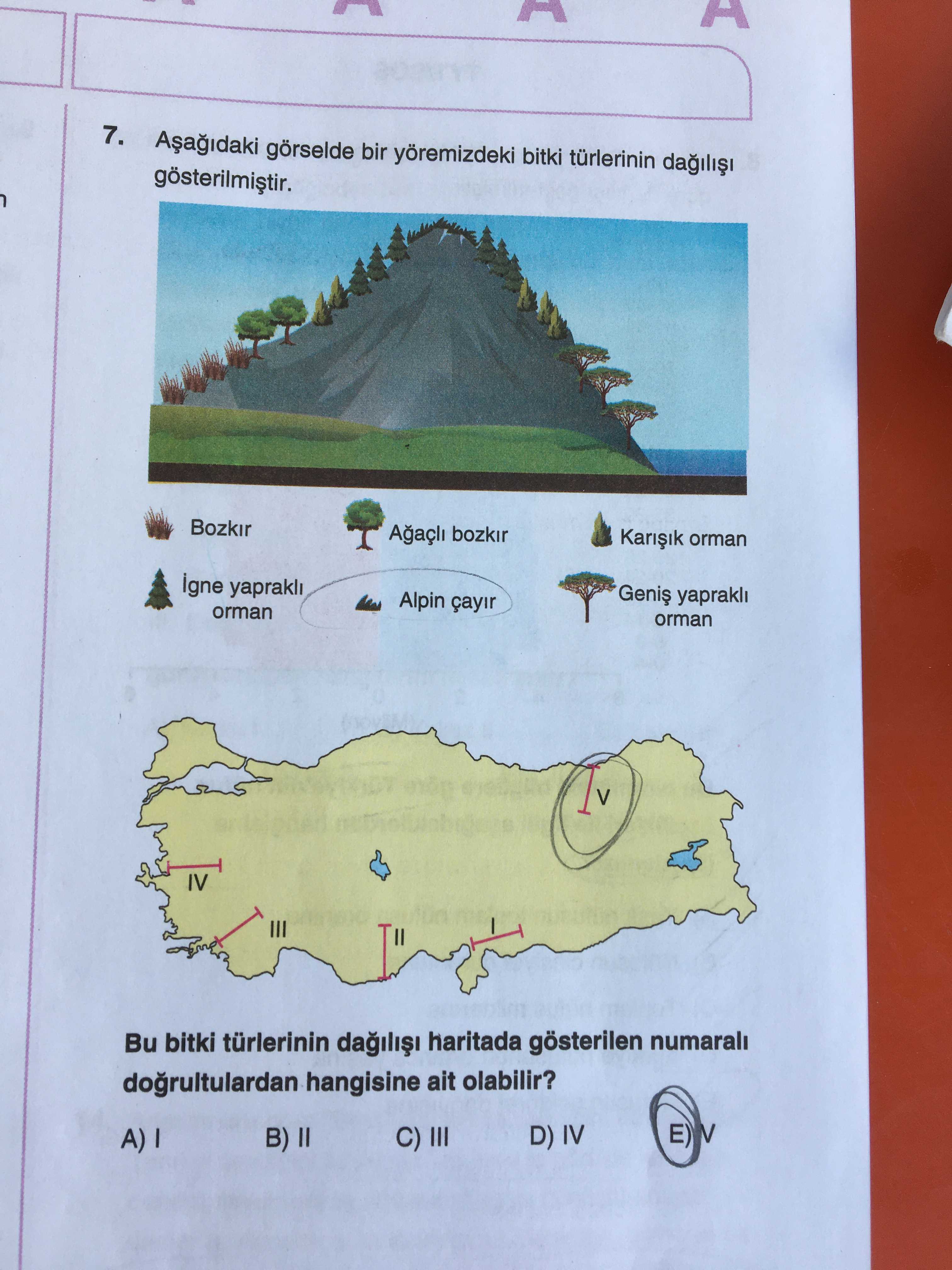 Aşağıdaki görselde bir yöremizdeki bitki türlerinin dağılışı gösterilmiştir. Bu bitki türlerinin