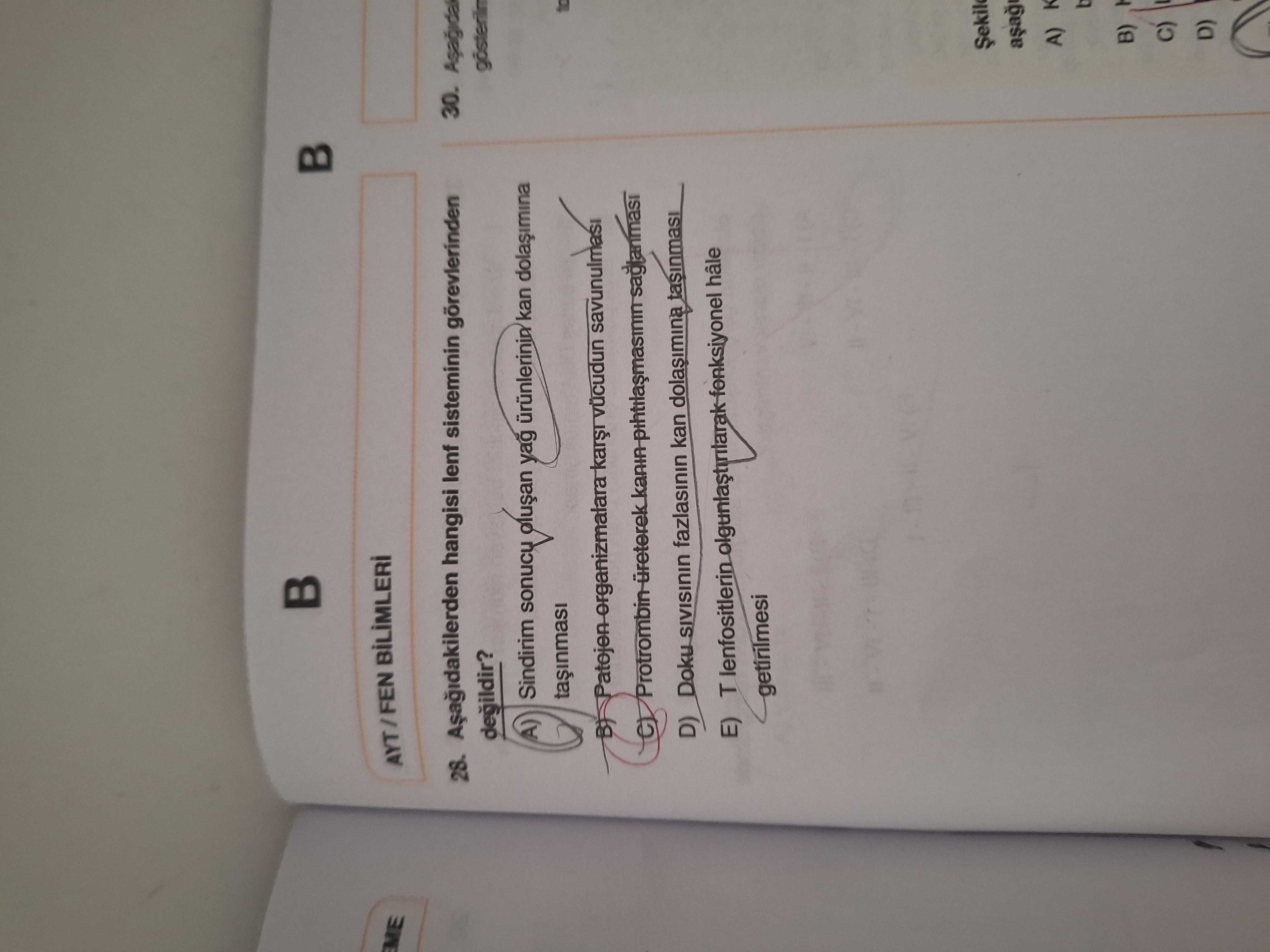 Aşağıdakilerden hangisi lenf sisteminin görevlerinden değildir?