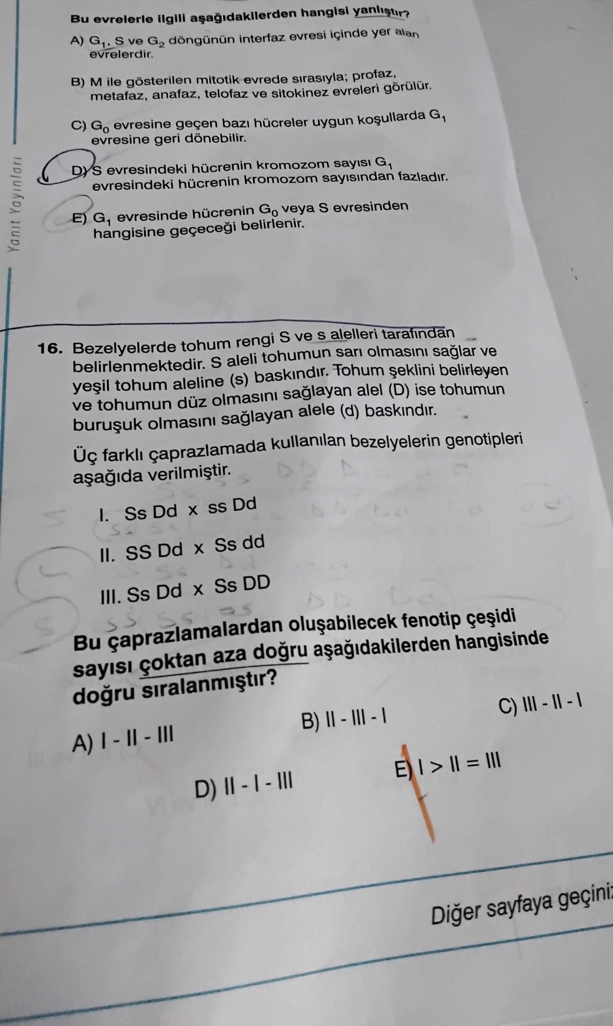 Bezelyelerde tohum rengi S ve s alelleri tarafından belirlenmektedir. S aleli tohumun sarı olmasını