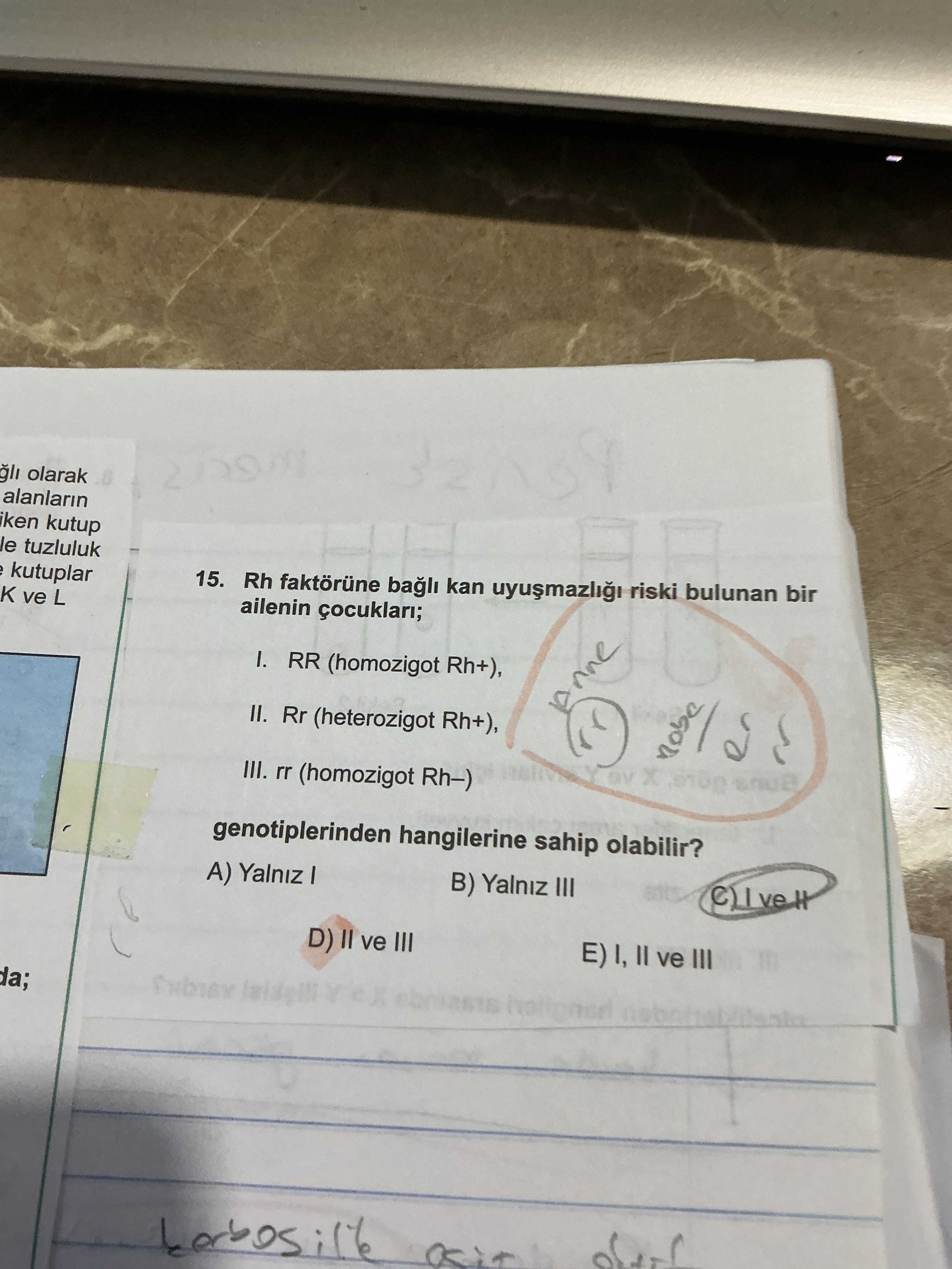 Rh faktörüne bağlı kan uyuşmazlığı riski bulunan bir ailenin çocukları; I. RR (homozigot Rh+), II