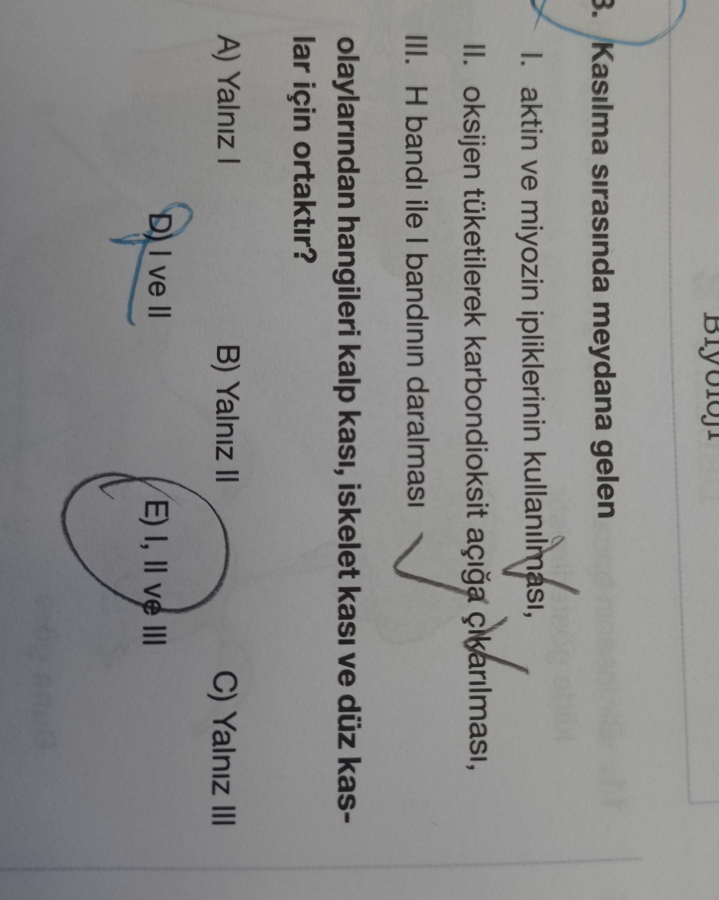 Kasına sırasında meydana gelen I. aktin ve miyozin ipliklerinin kısalması, II. oksijen tüketilen