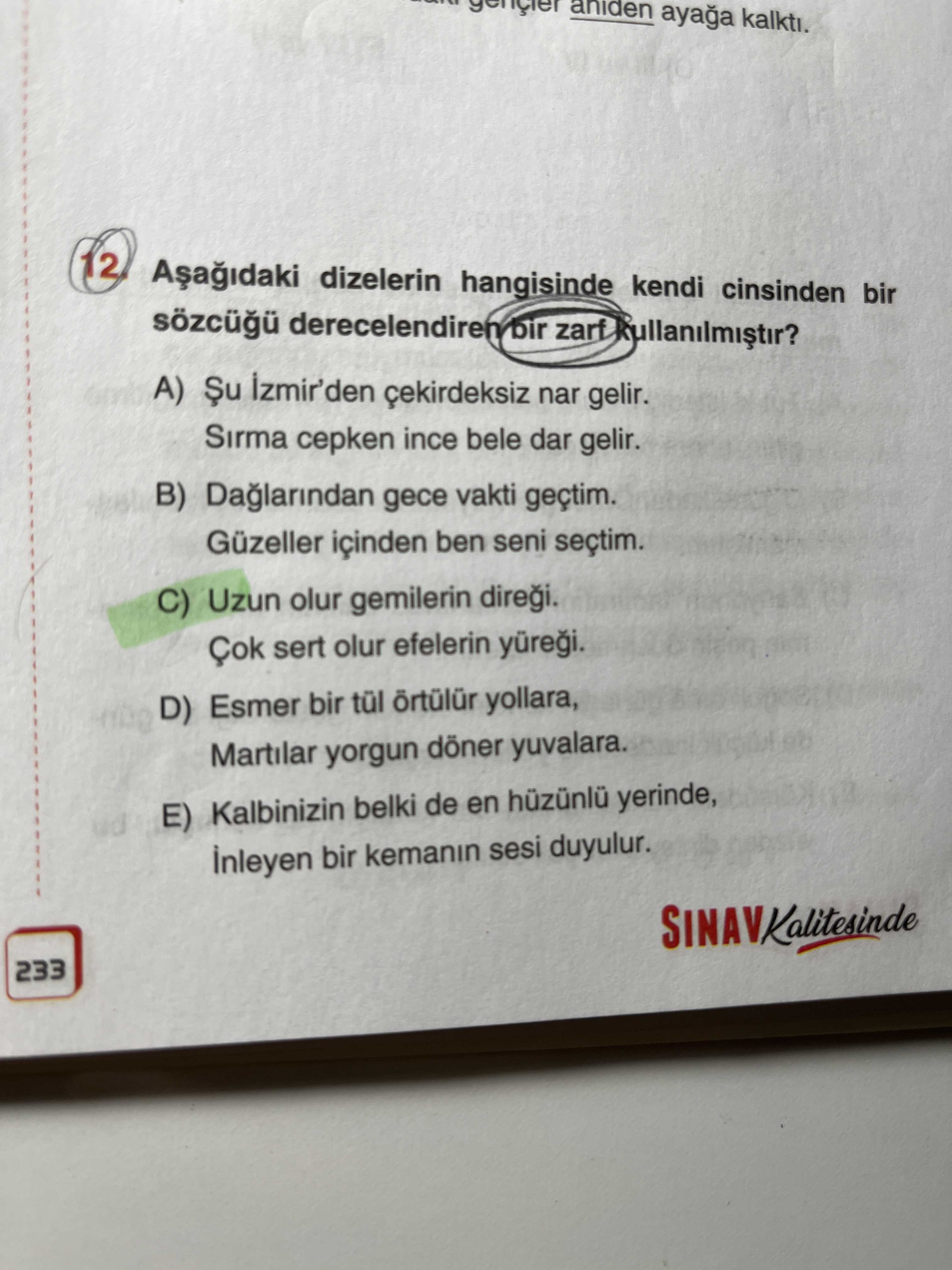 Türkçe (12. Sınıf)