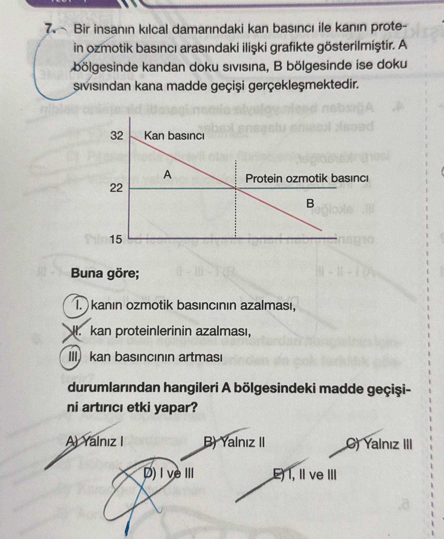 Bir insanın kılcal damarındaki kan basıncı ile kanın protein ozmotik basıncı arasındaki ilişki